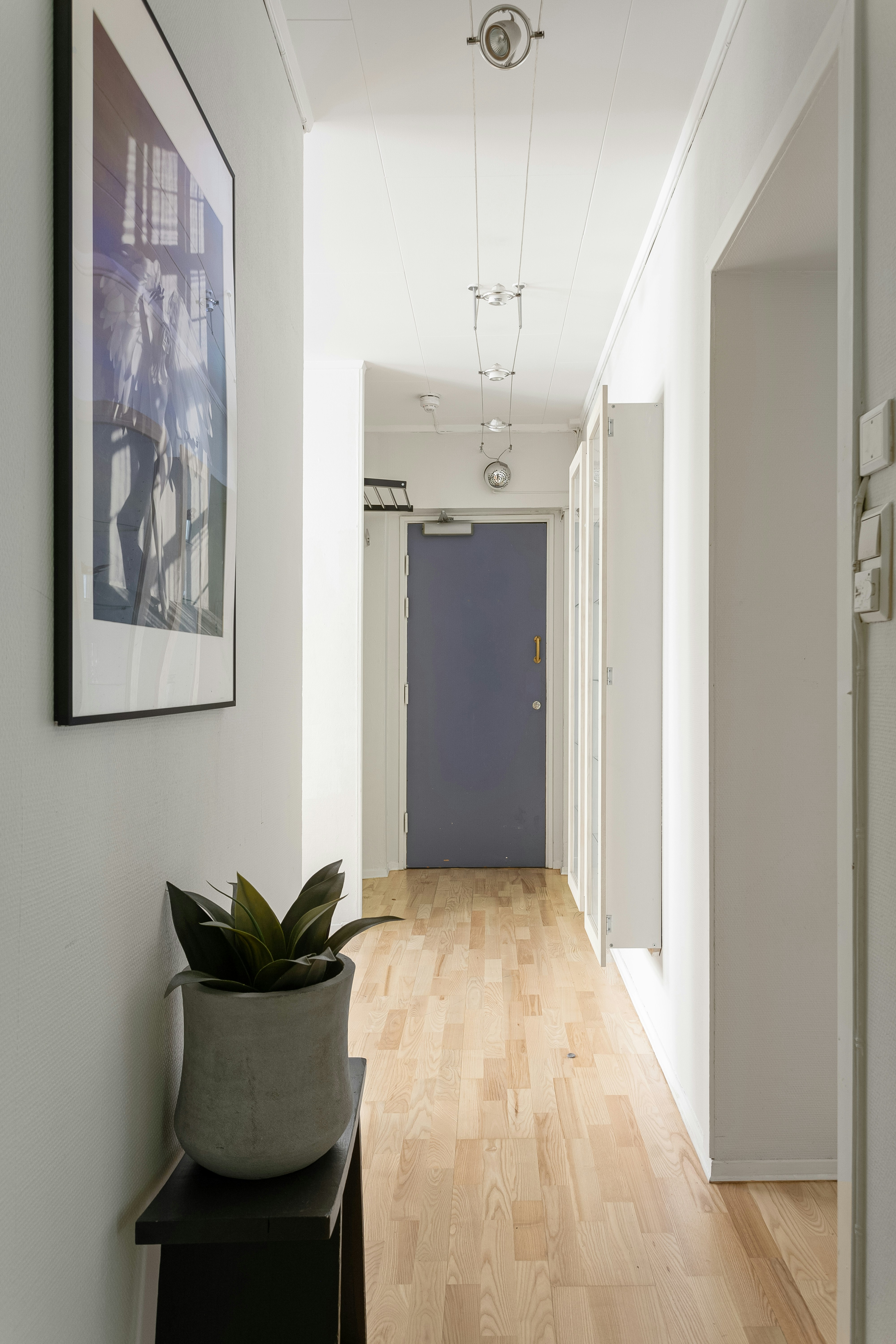 Photo by alextyson195