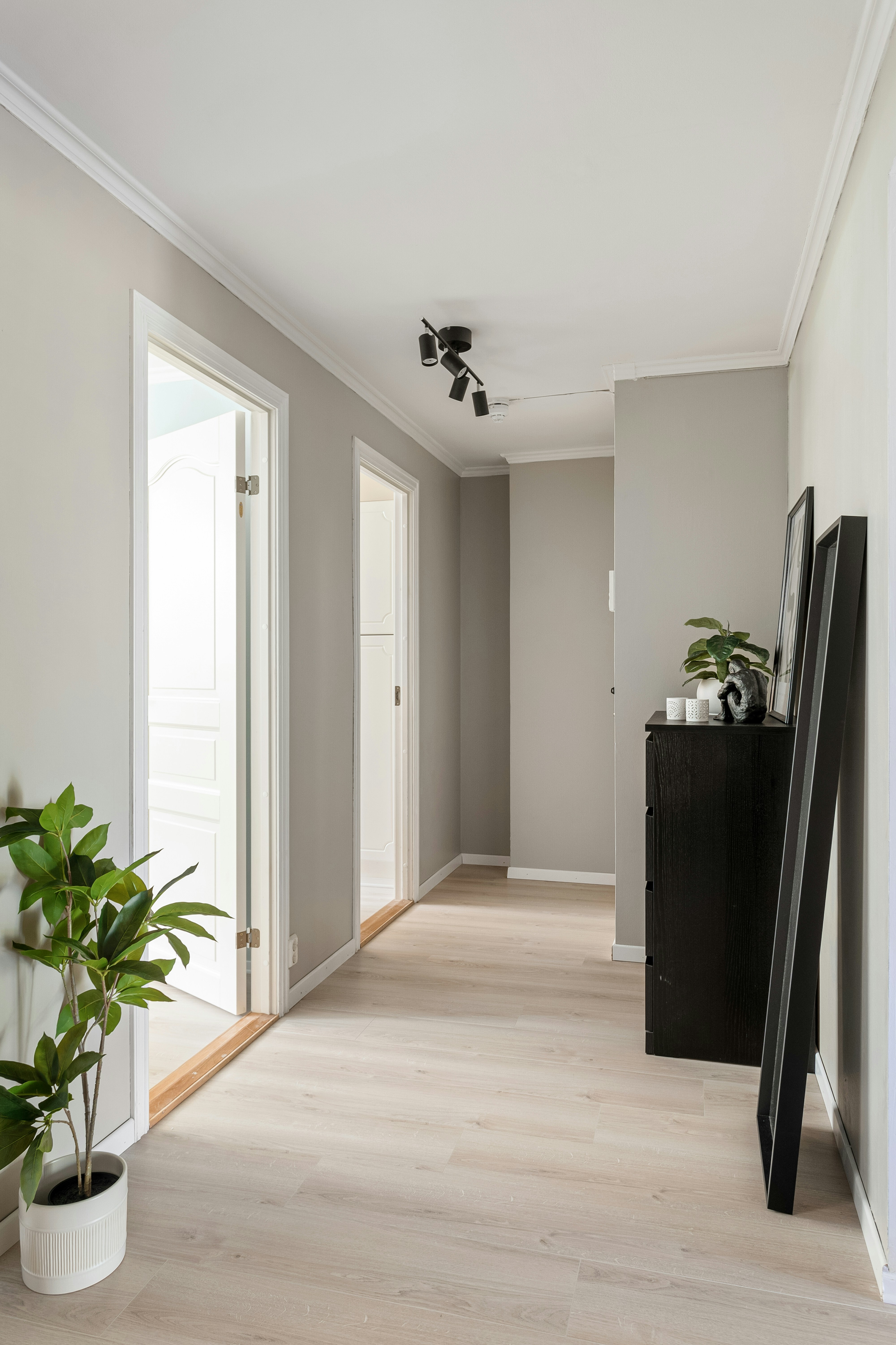 Photo by alextyson195