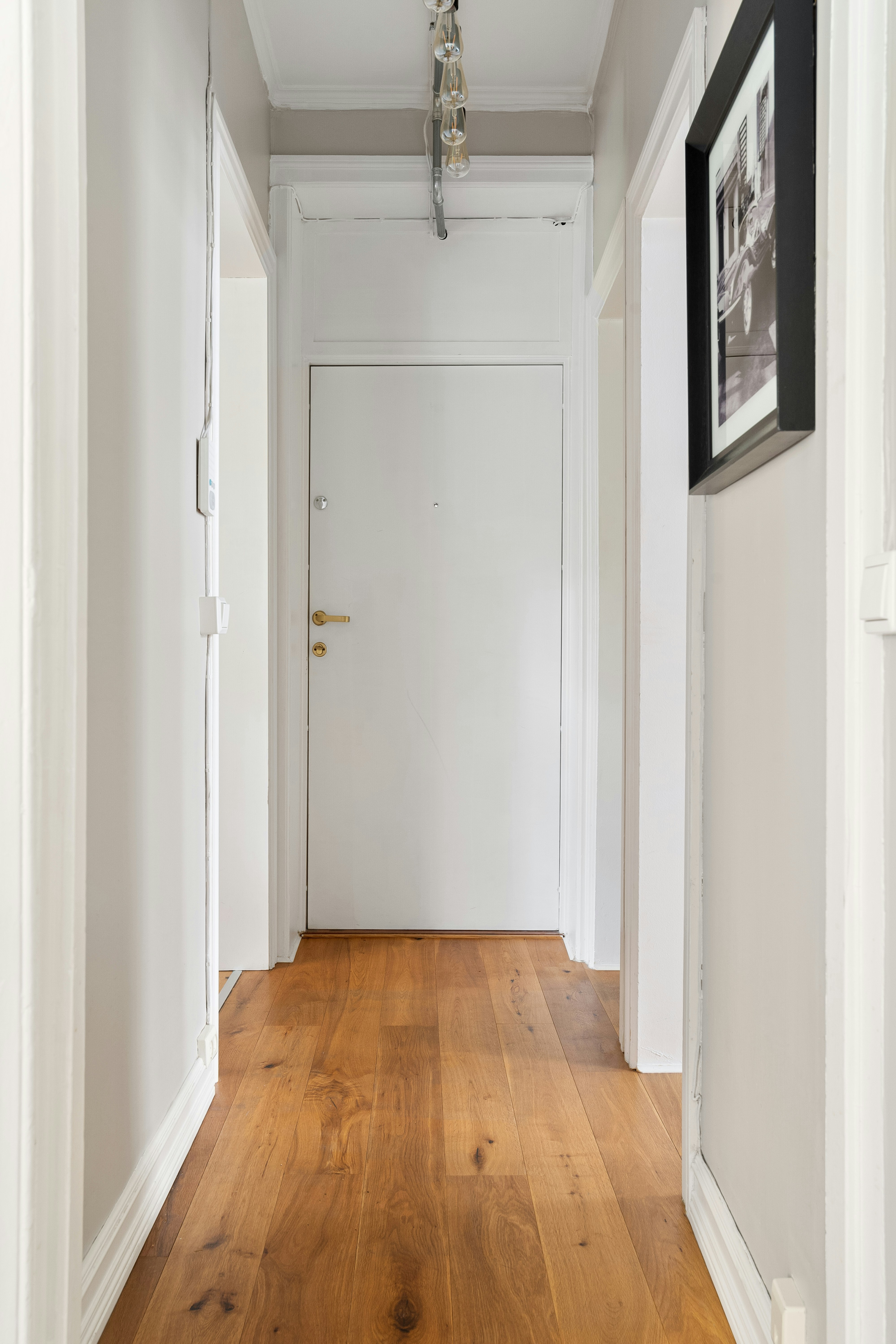 Photo by alextyson195