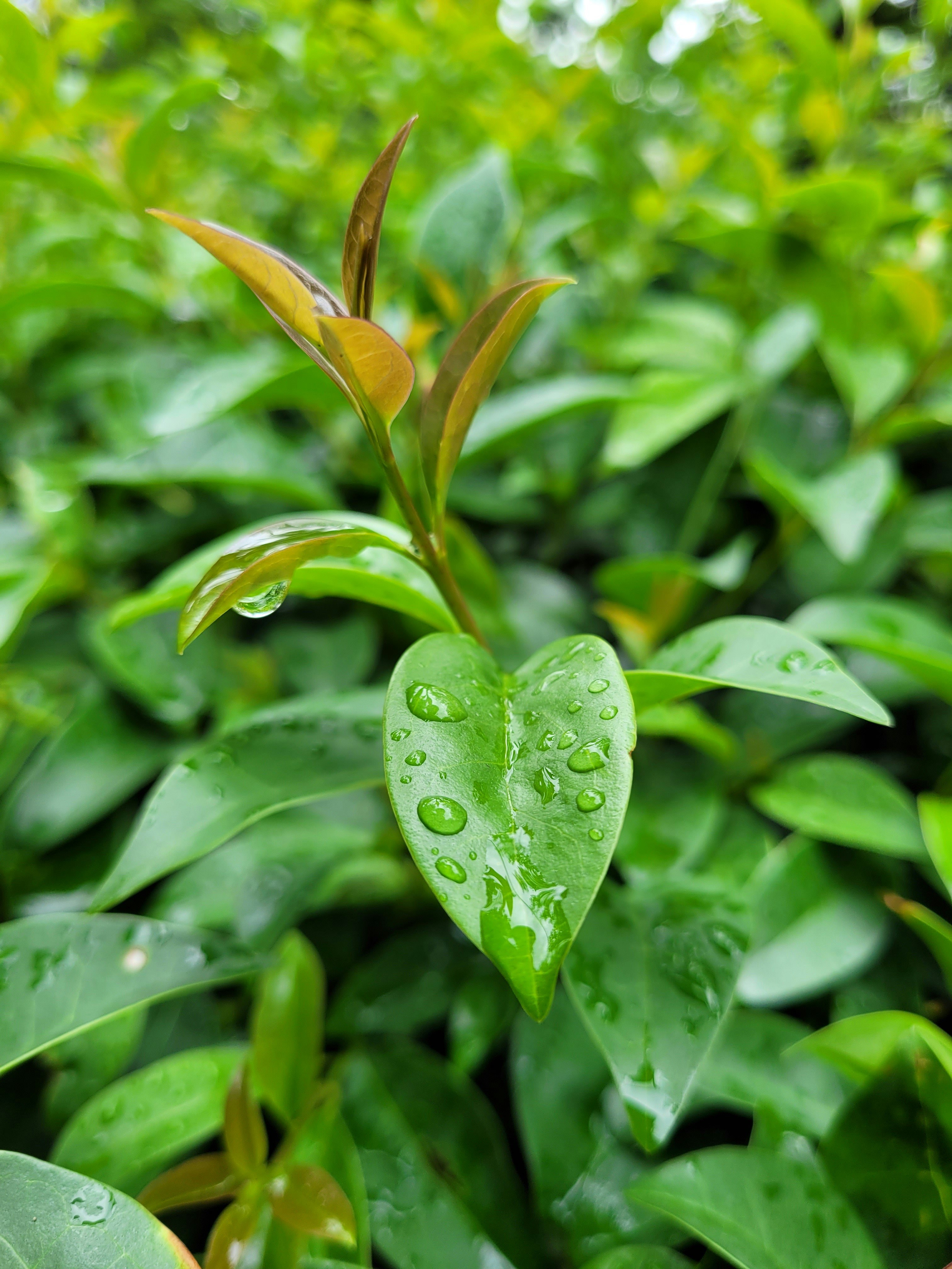 Photo by ifrahimtaqi619