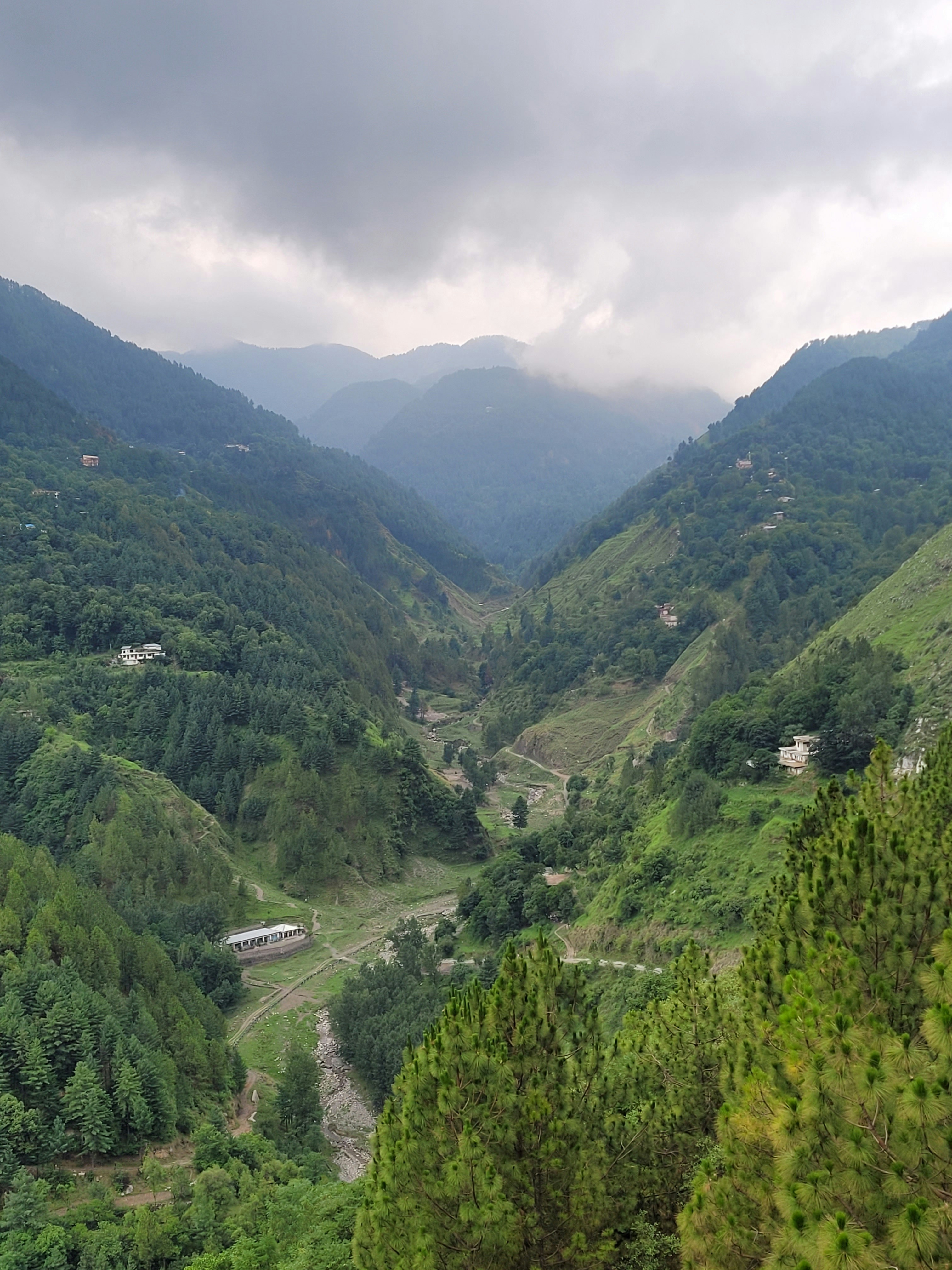 A view of a valley in the middle of a forest