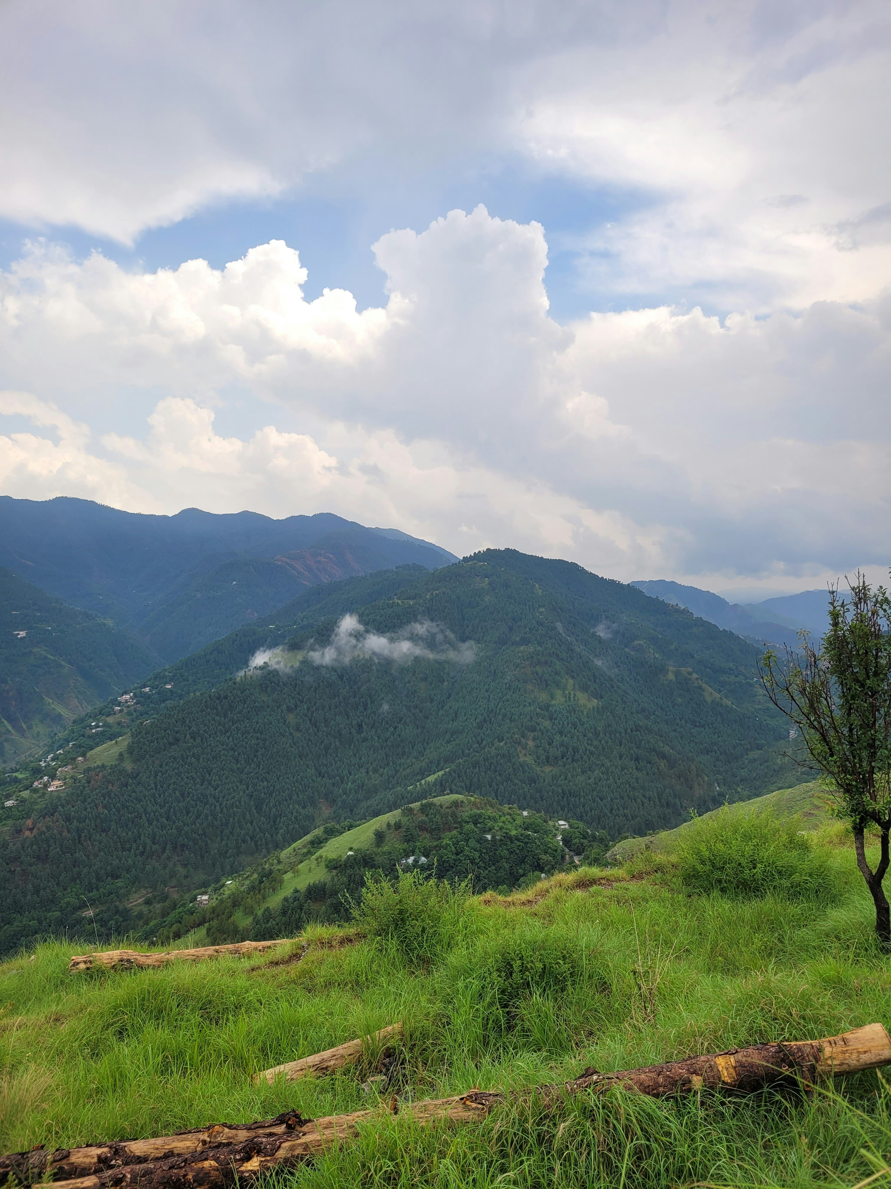 Photo by ifrahimtaqi619