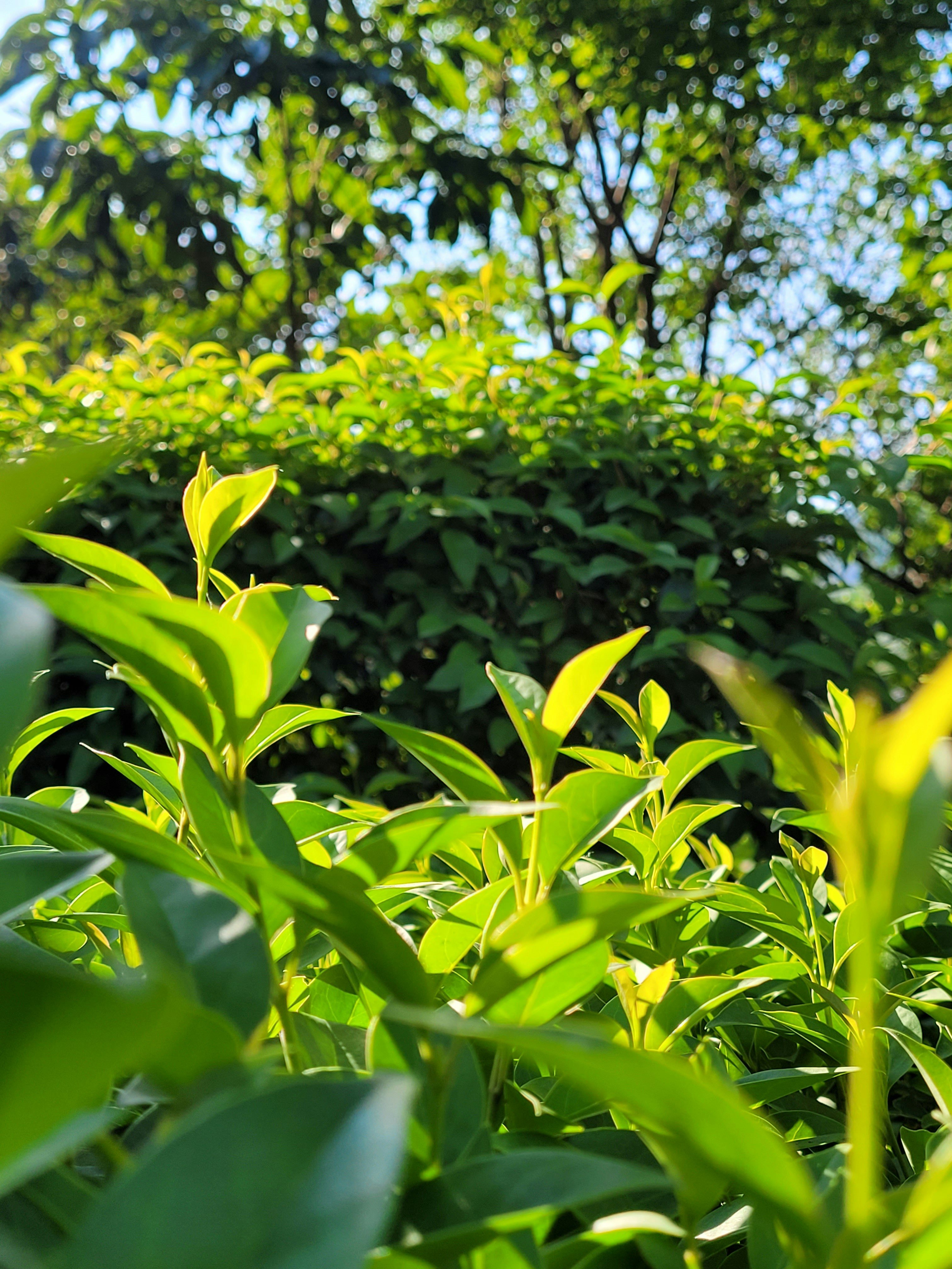 Photo by ifrahimtaqi619