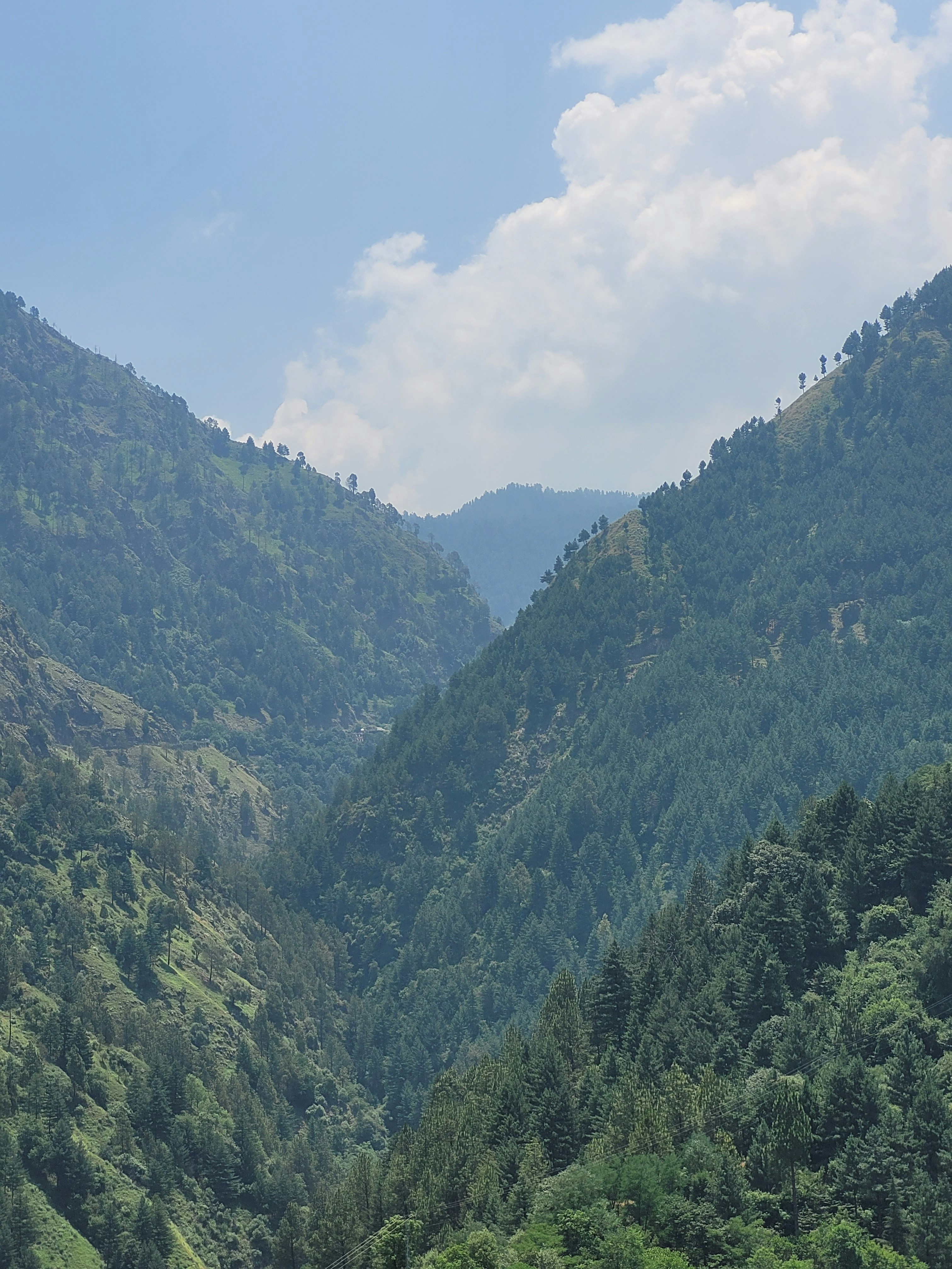 Photo by ifrahimtaqi619