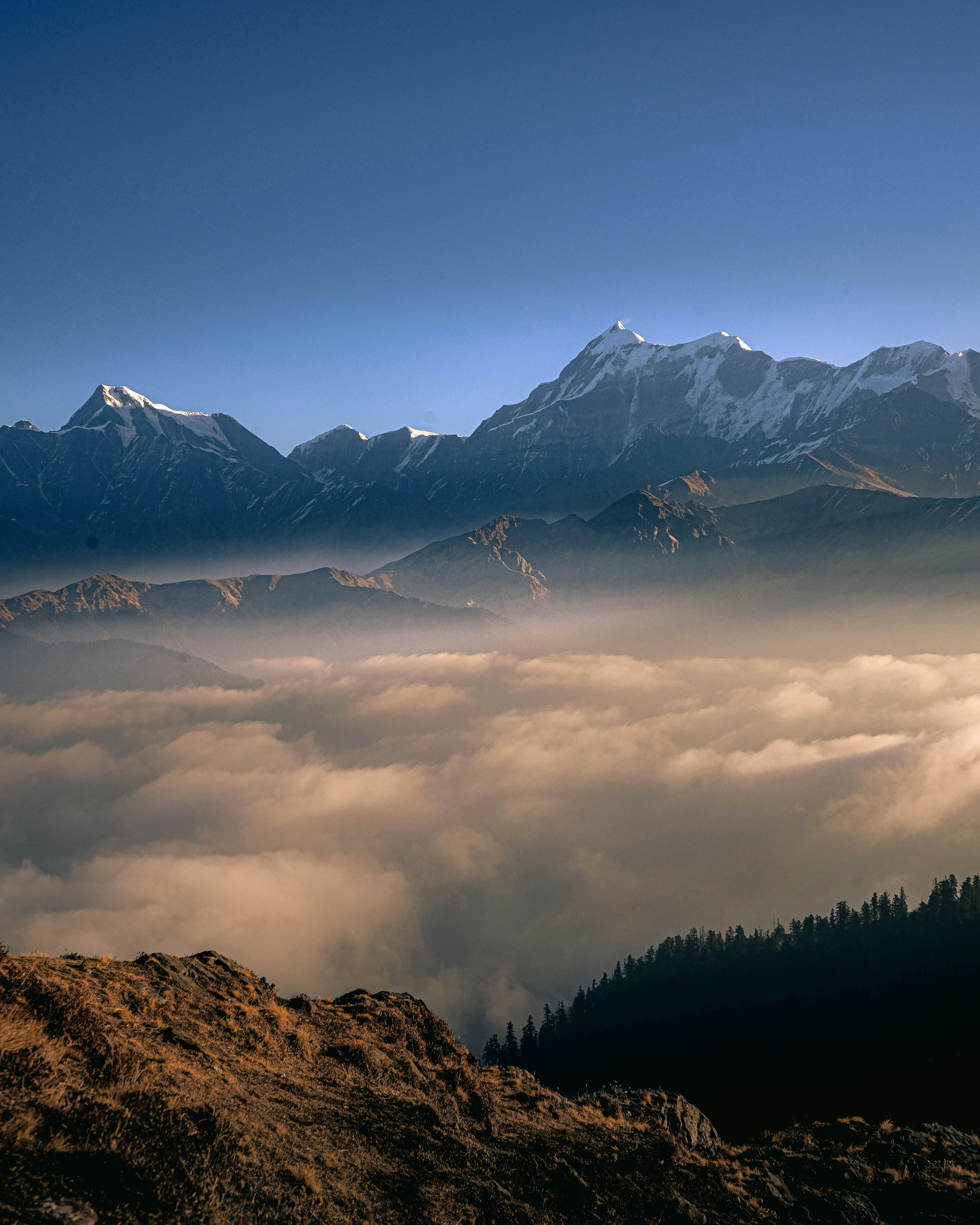 Photo by sagarkulkarni