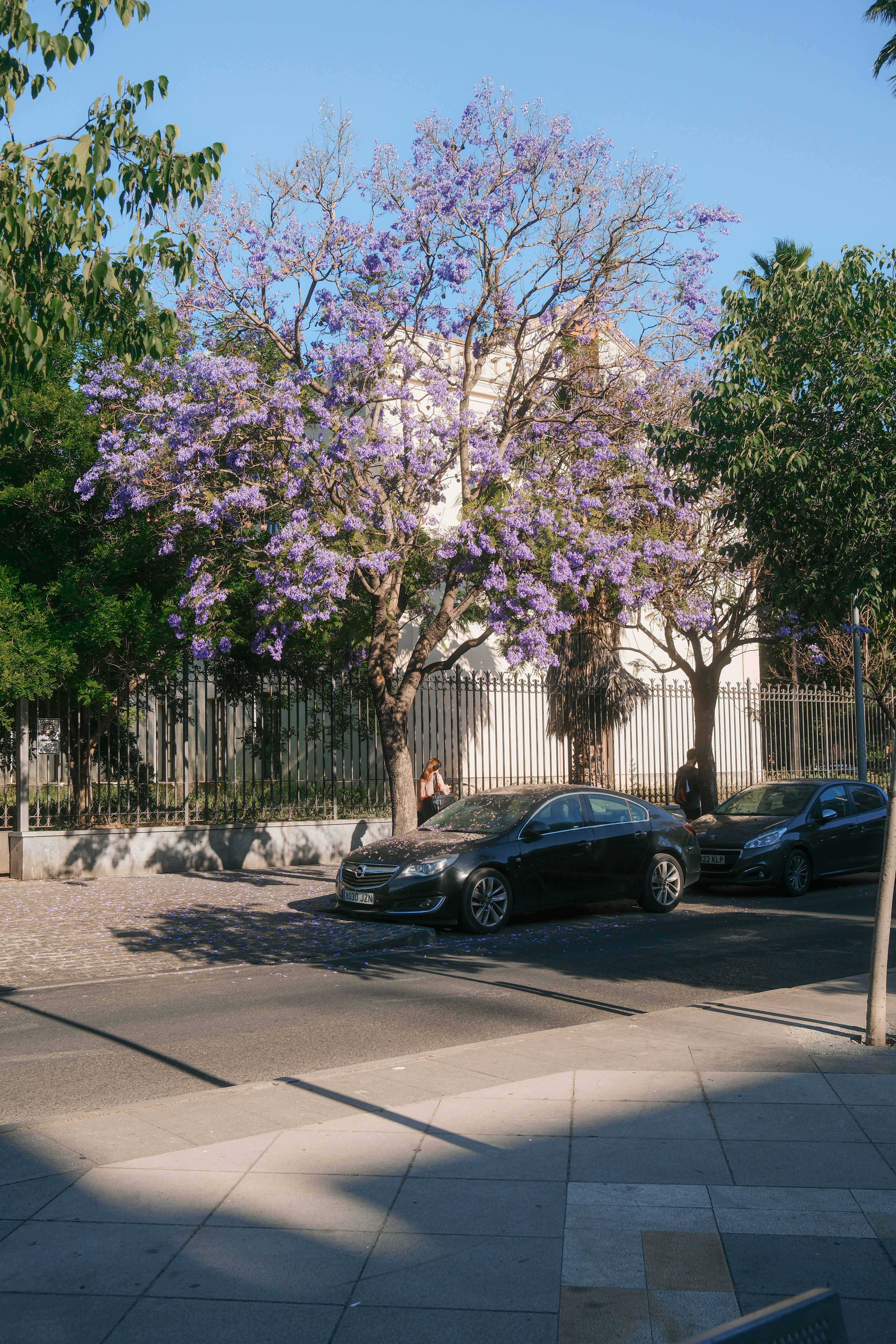 Day Trips and Regional Excursions