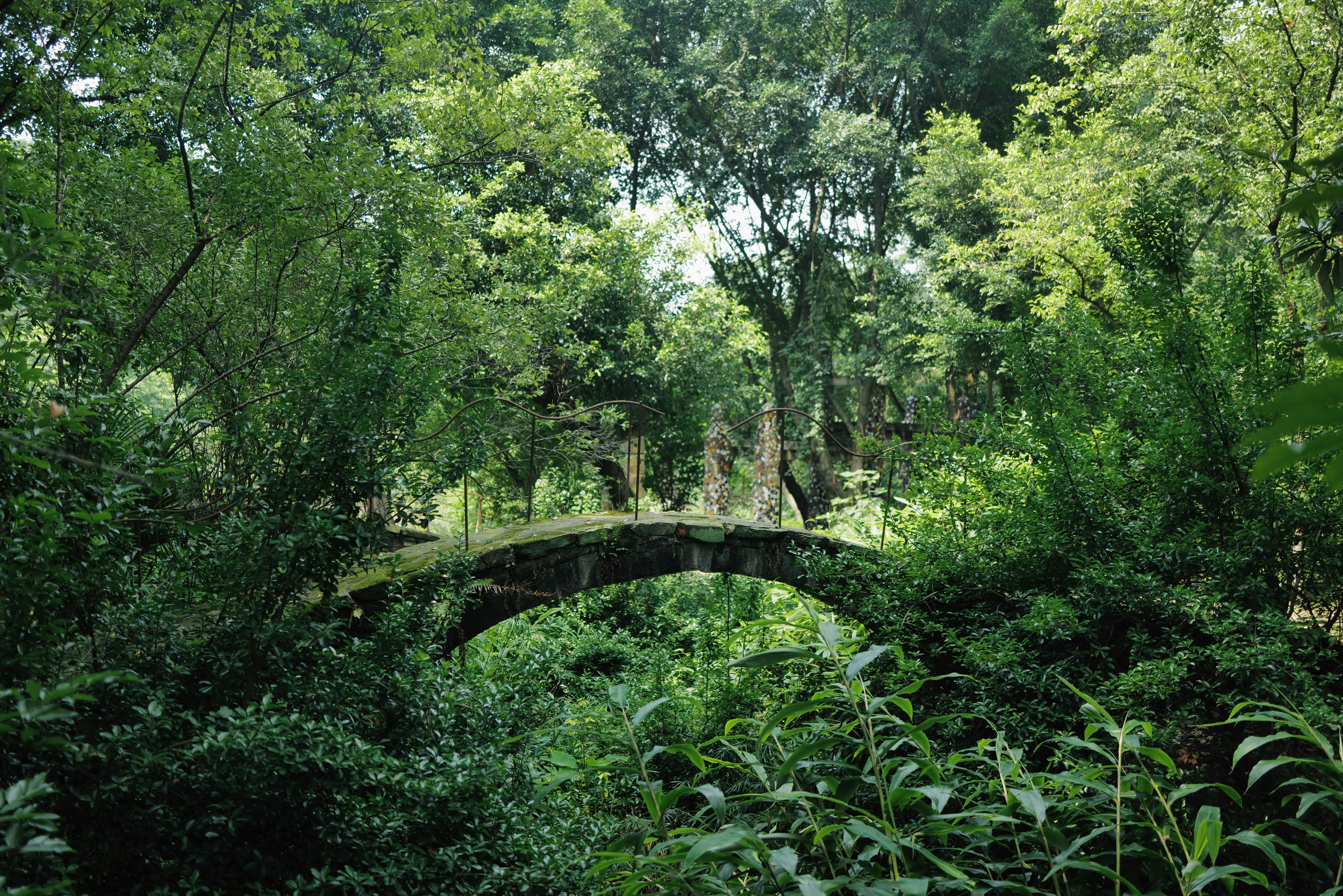 Photo by travelling_summer