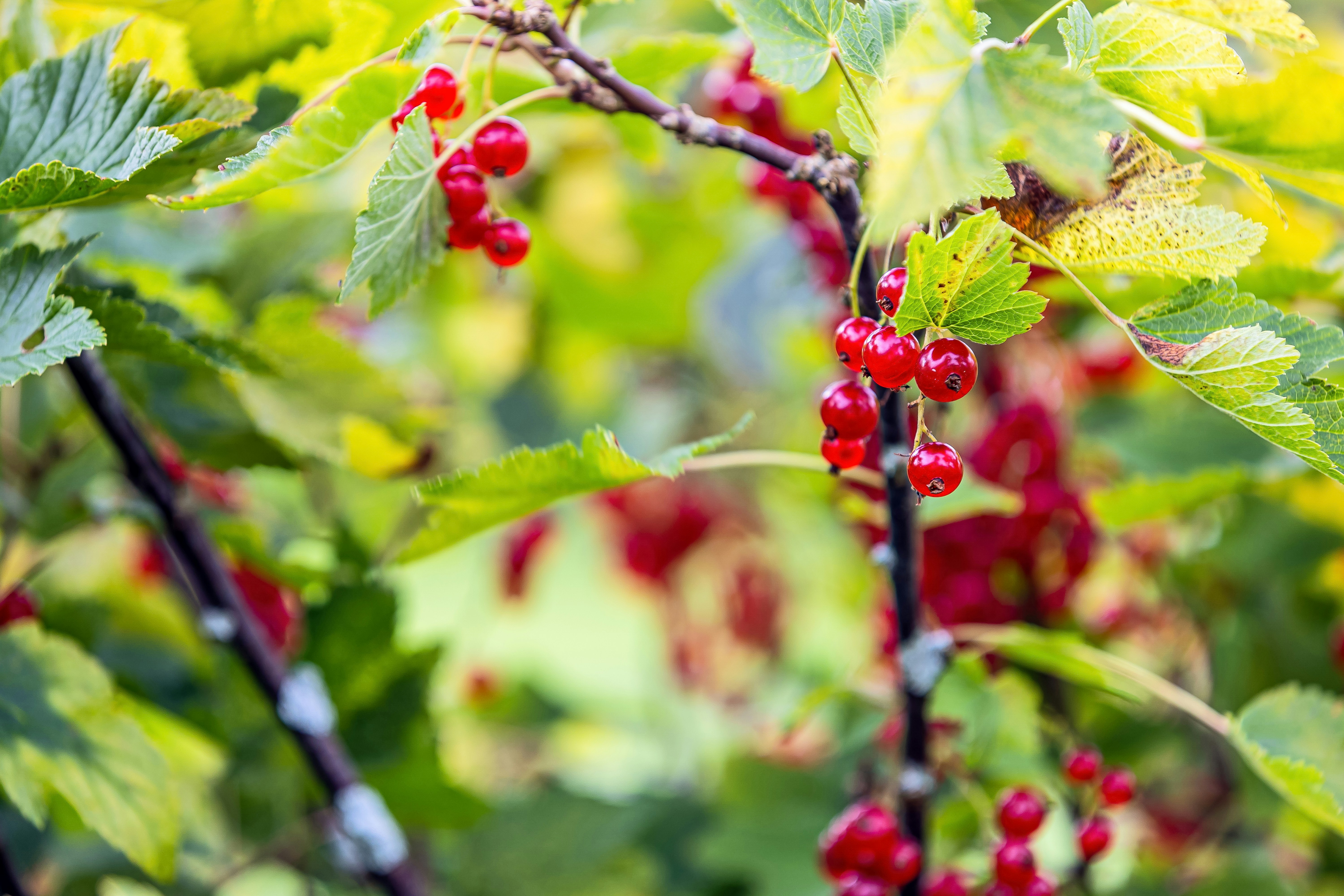 Photo by lisaanna195