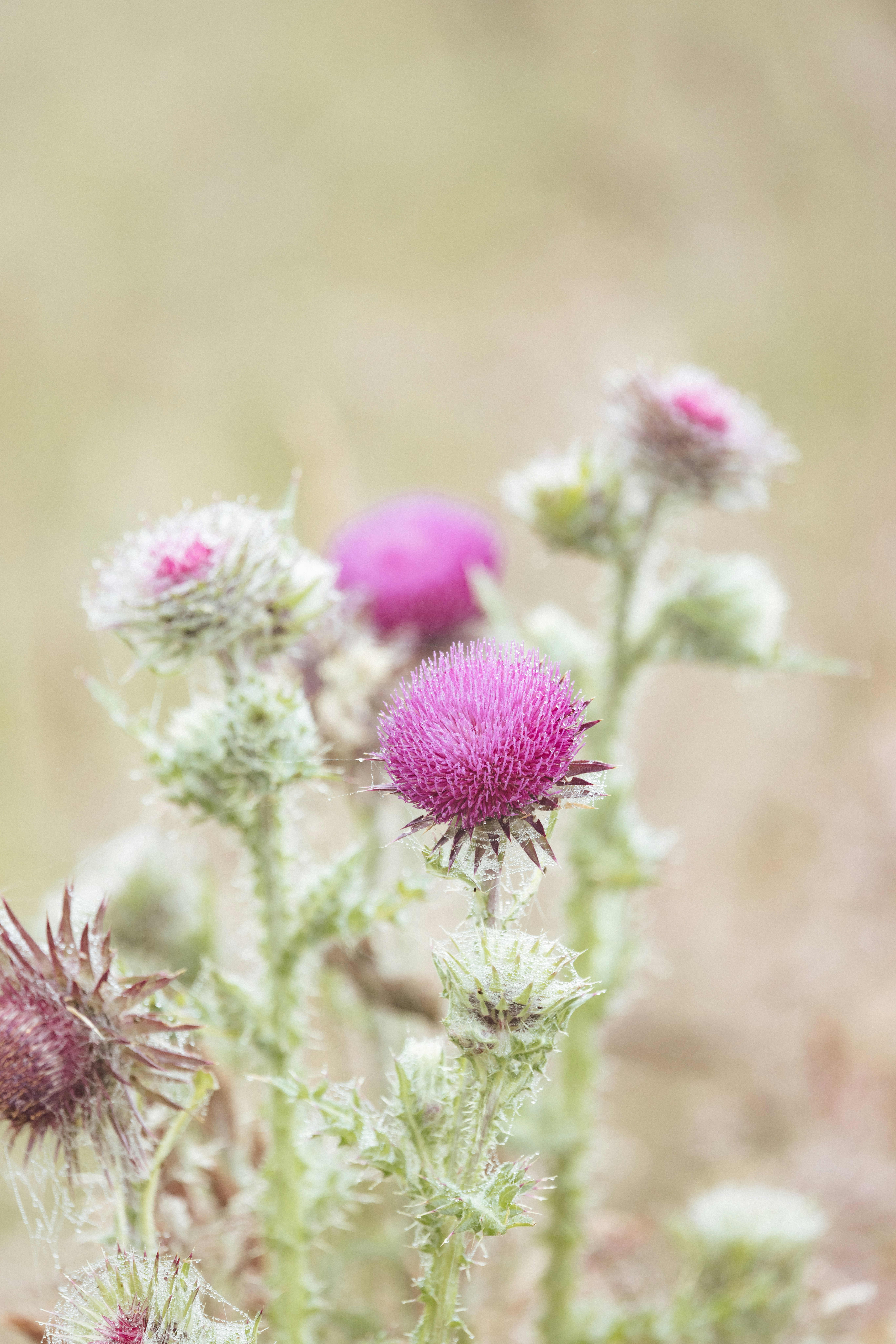 Photo by anniespratt