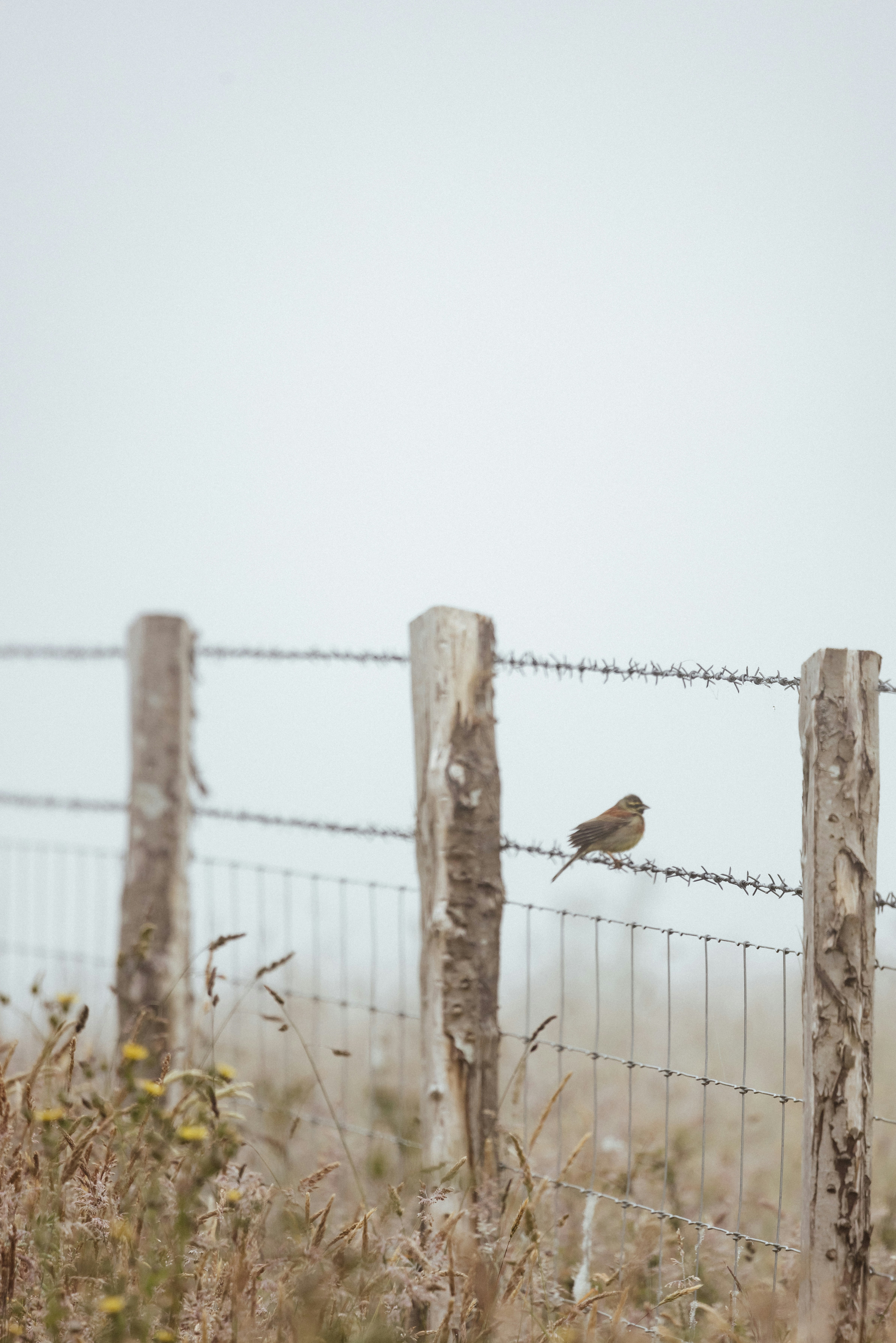 Photo by anniespratt