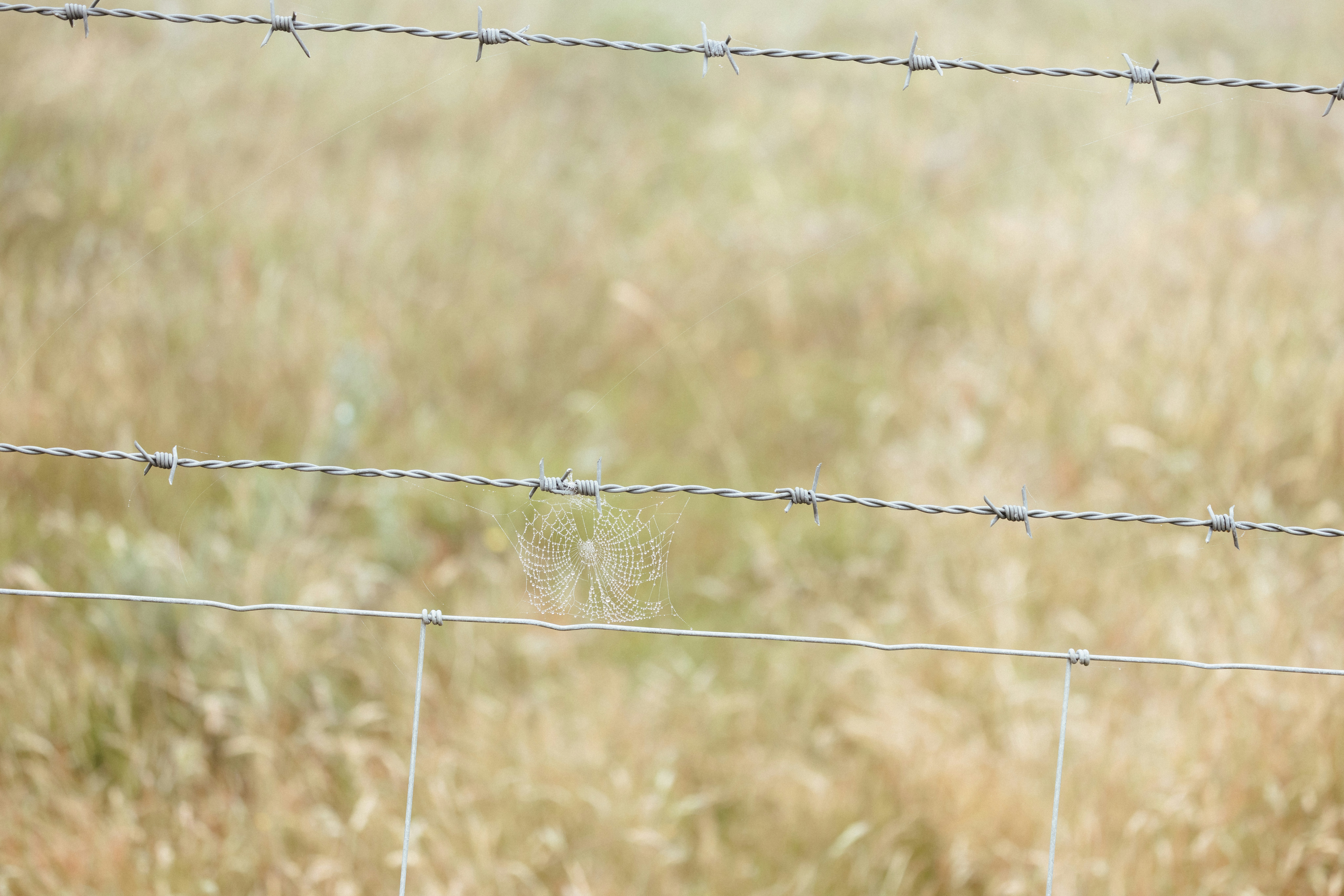 Photo by anniespratt