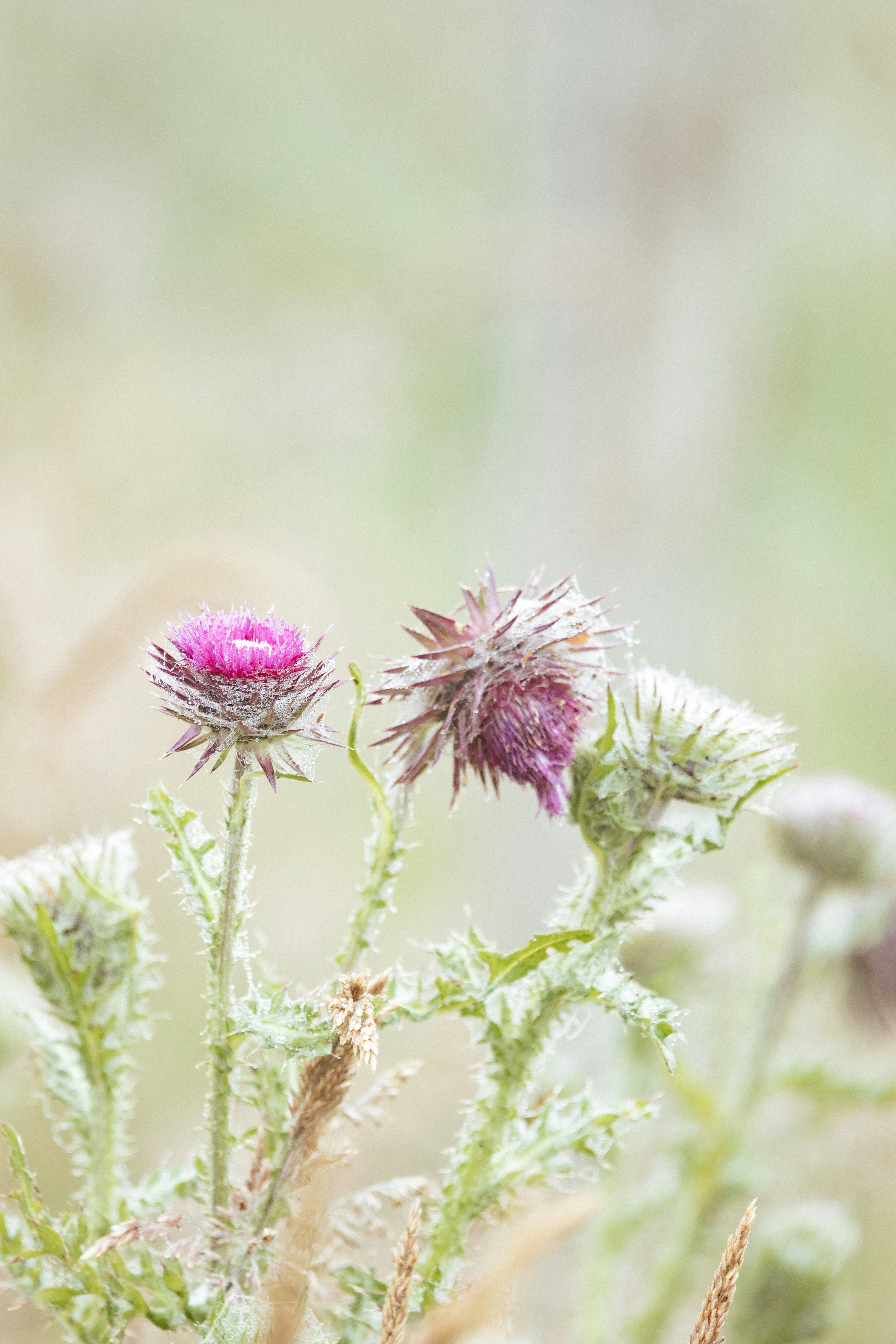 Photo by anniespratt