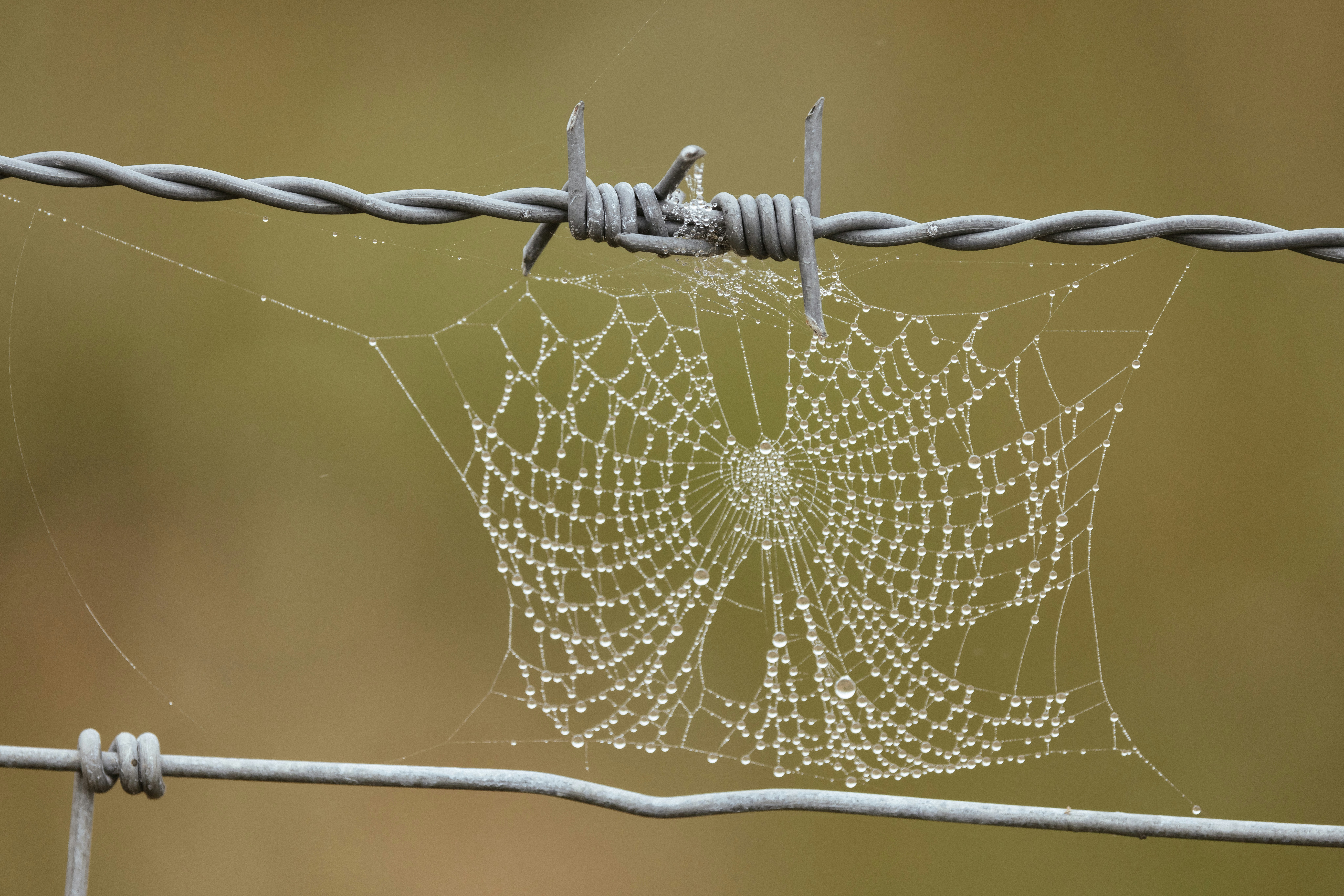 How to Tell If Your ICP Is Too Broad (Before You Waste Budget)