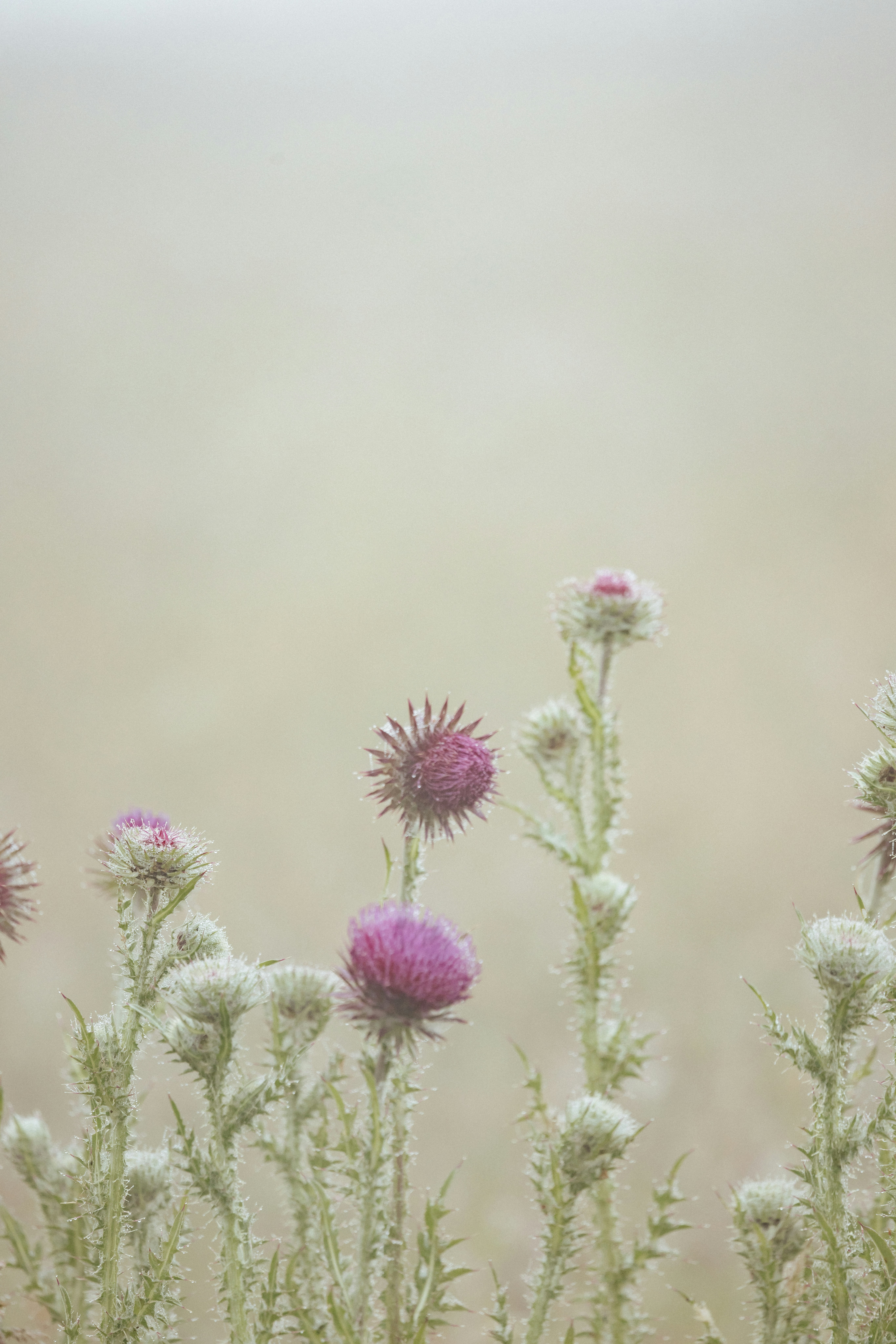 Photo by anniespratt