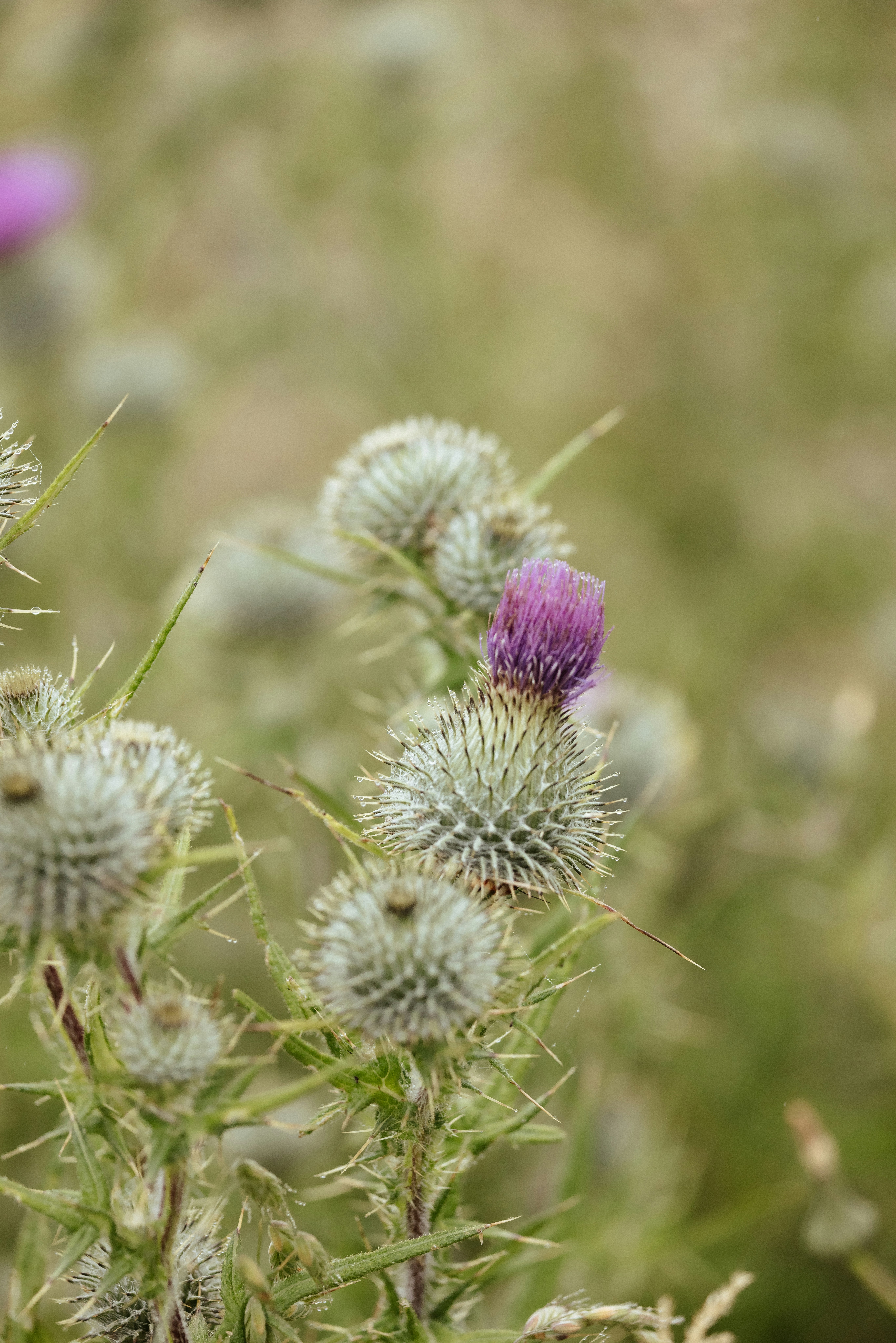 Photo by anniespratt