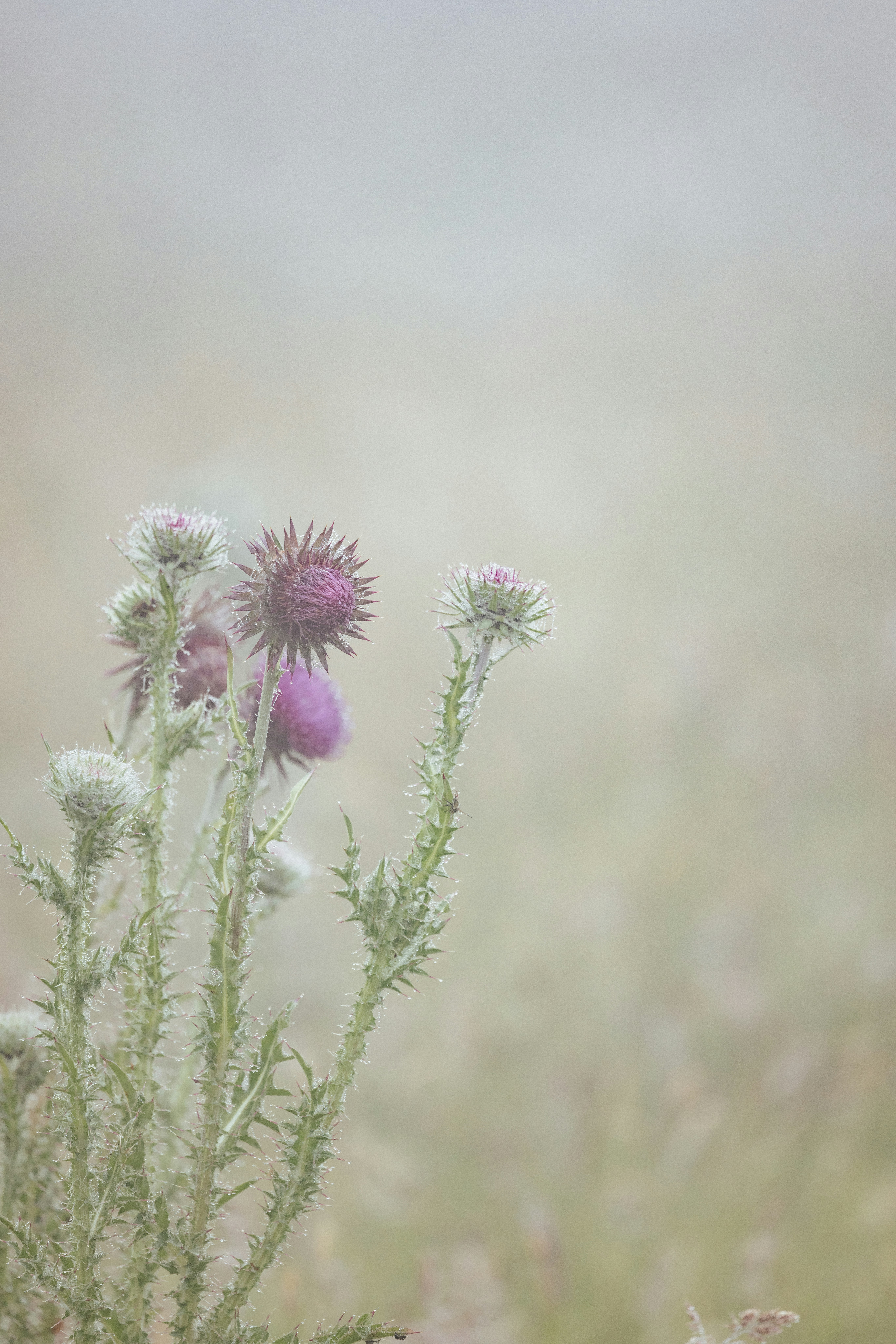Photo by anniespratt
