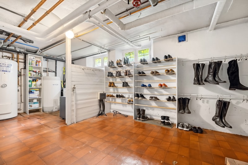 Regale mit sorgfältig angeordneten Schuhen
