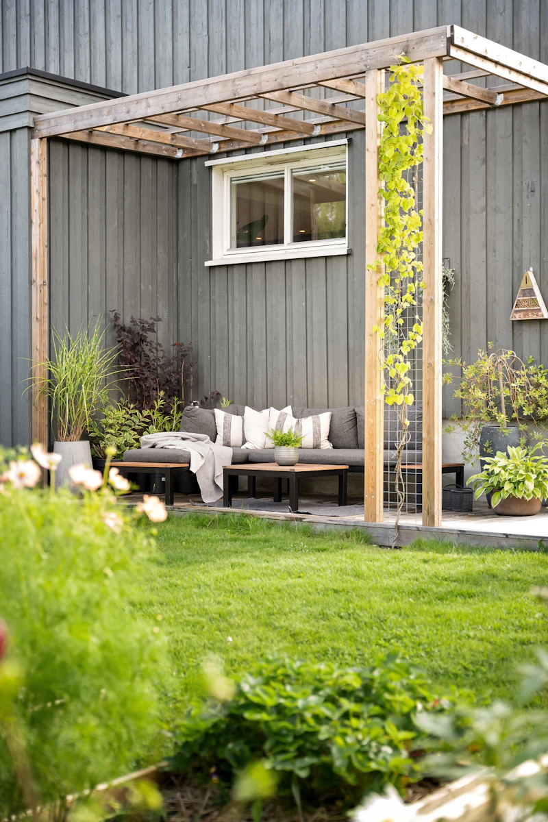 Comfortable backyard seating under a pergola