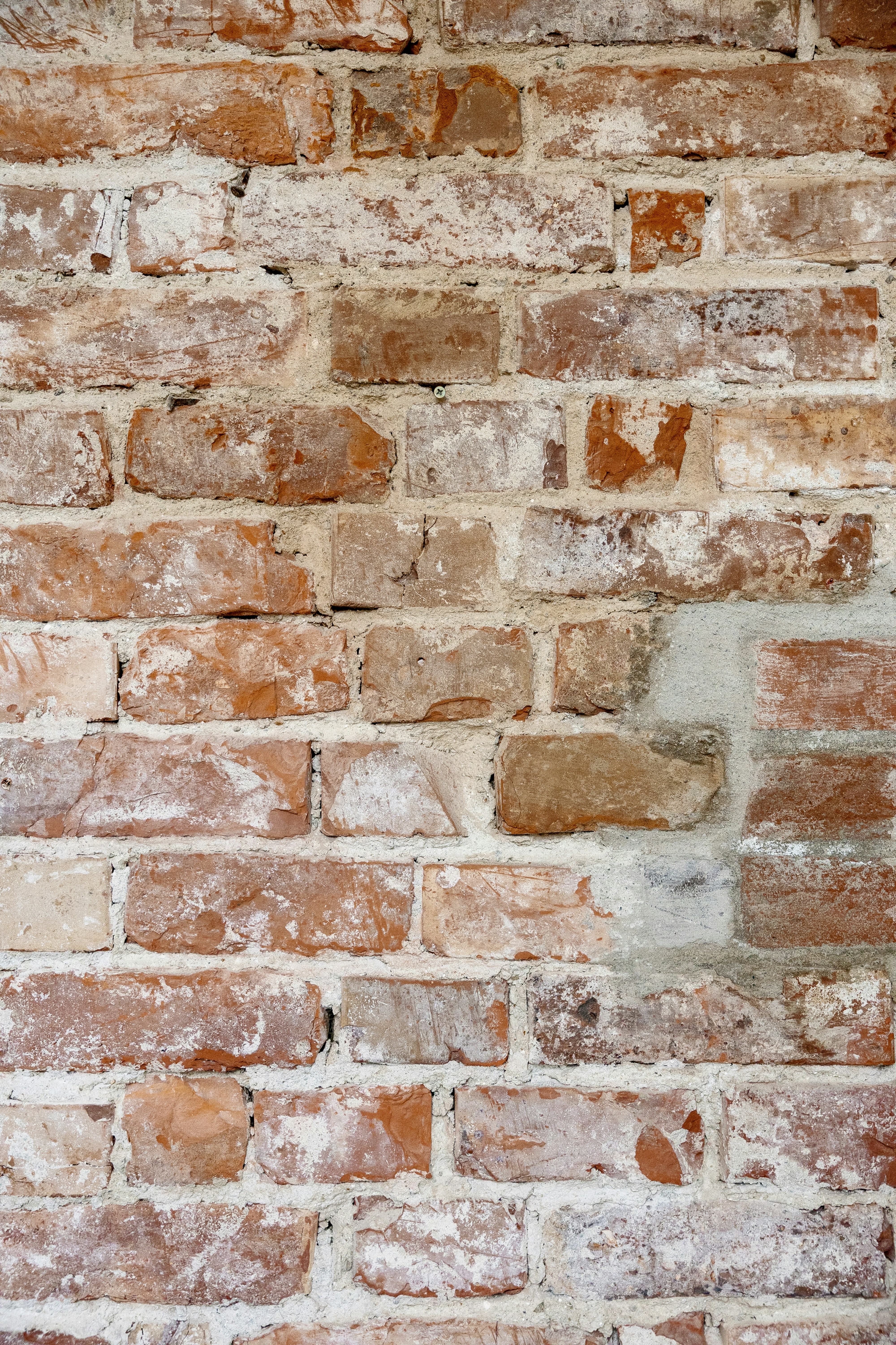 Photo by lisaanna195