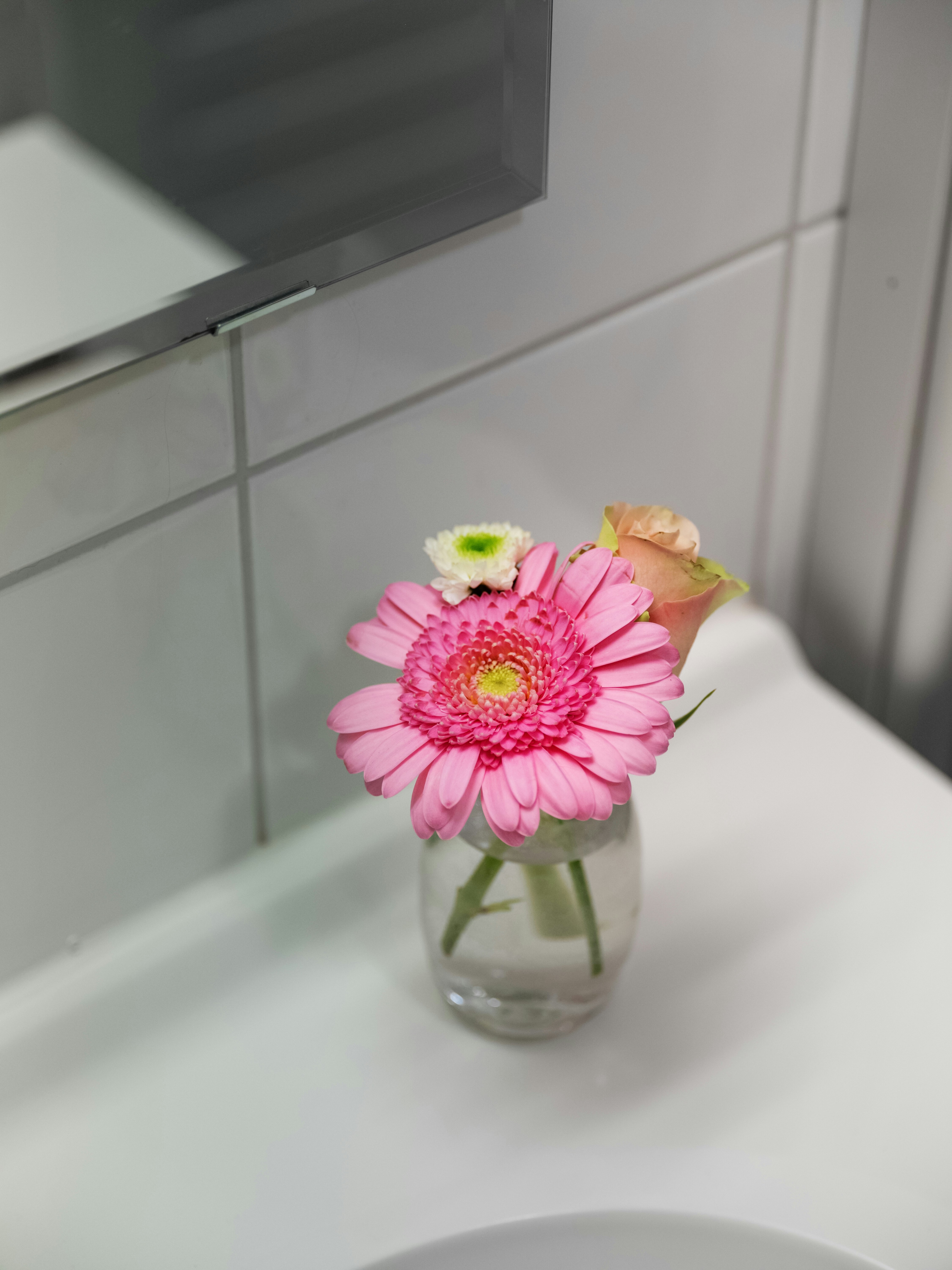 A pink flower in a glass vase on a sink