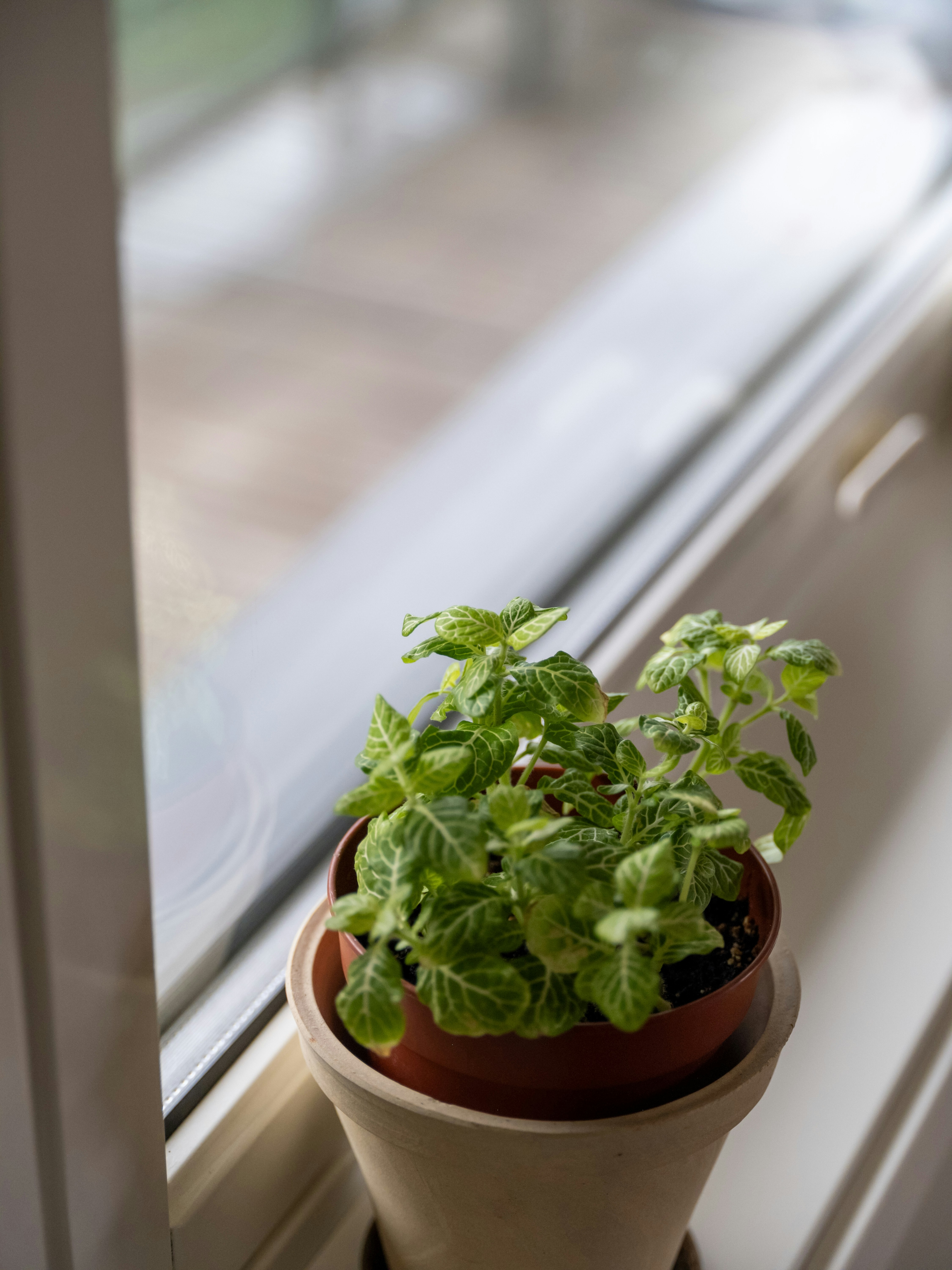 Photo by alextyson195