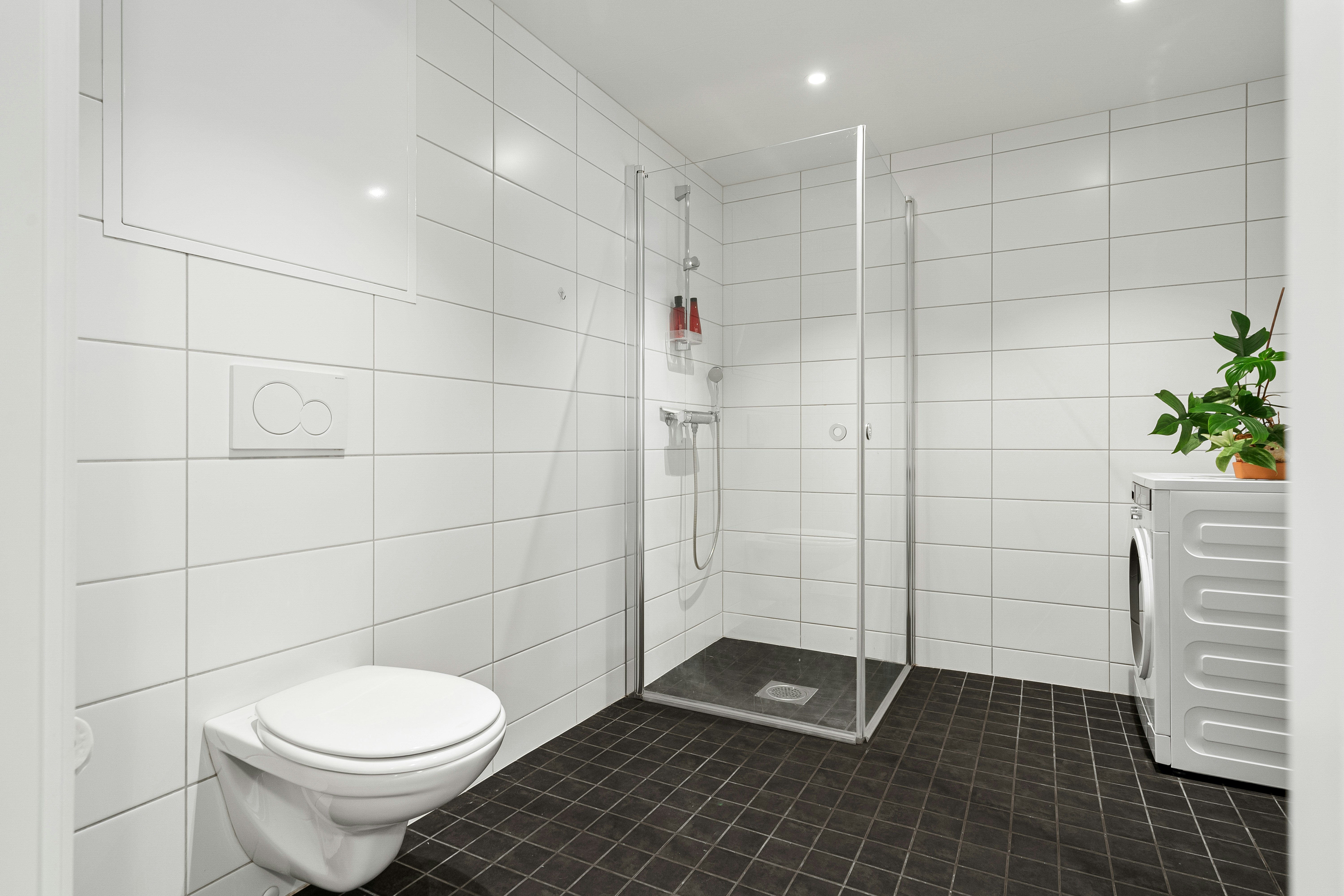 Photo by alextyson195