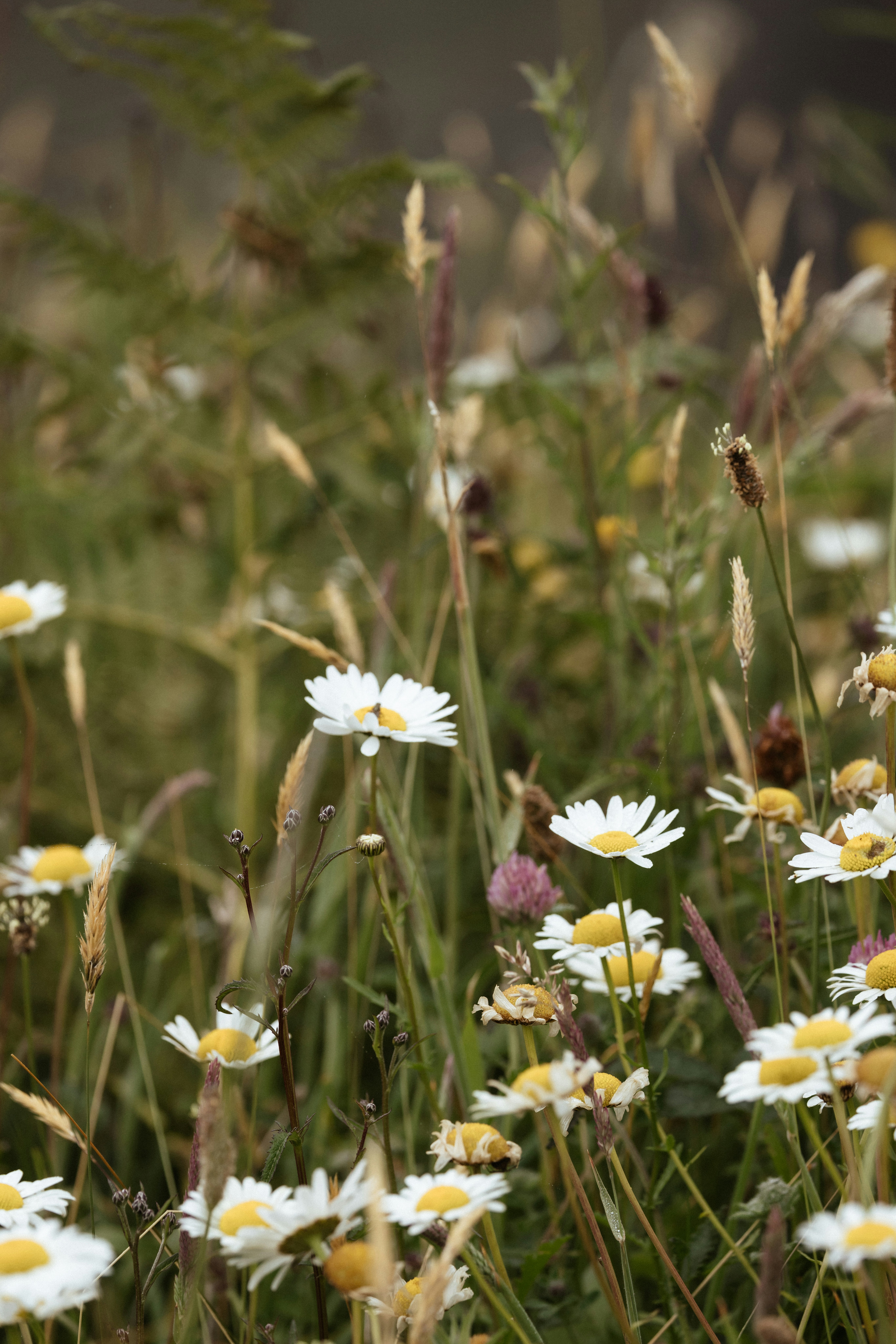 Photo by anniespratt