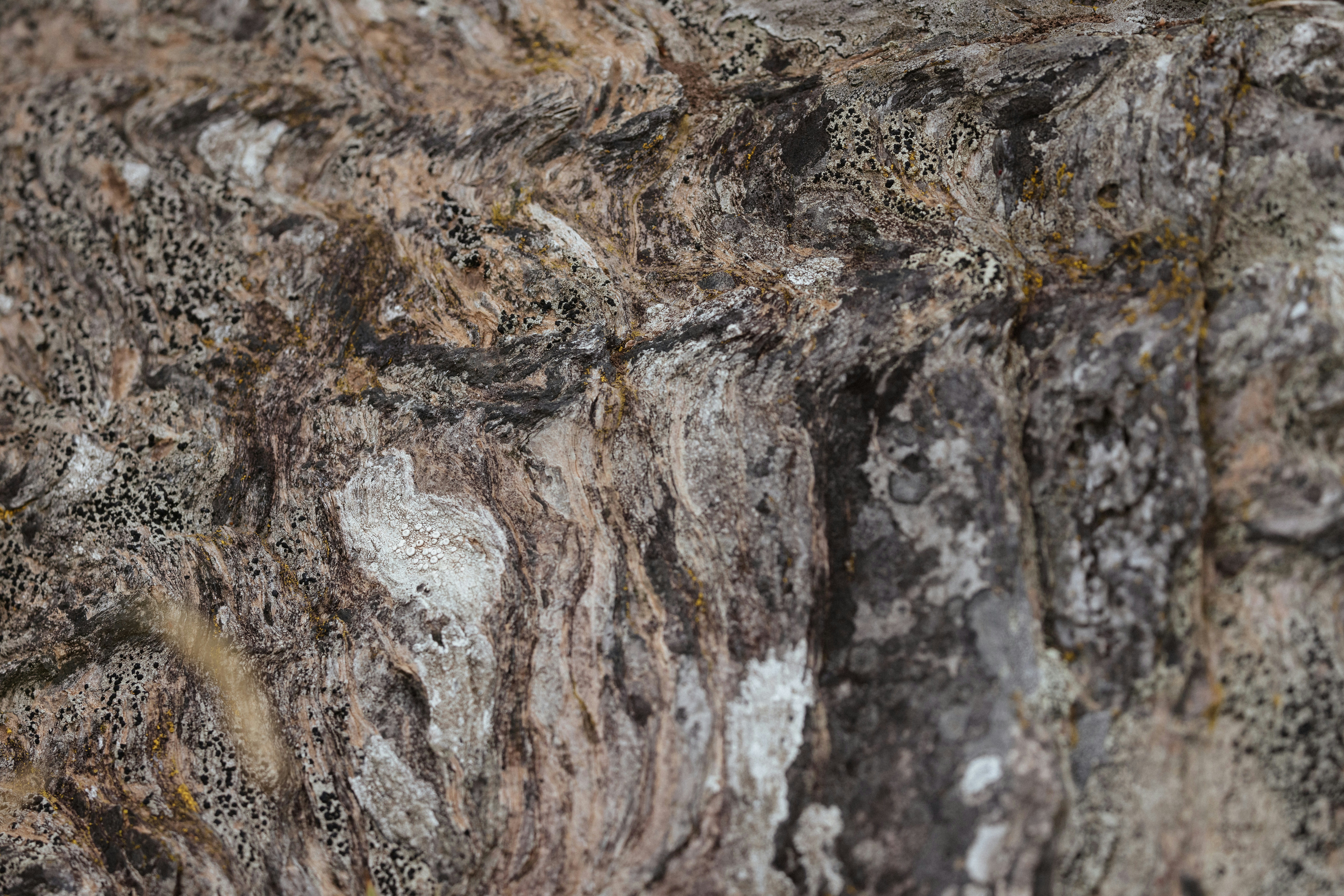 Photo by anniespratt