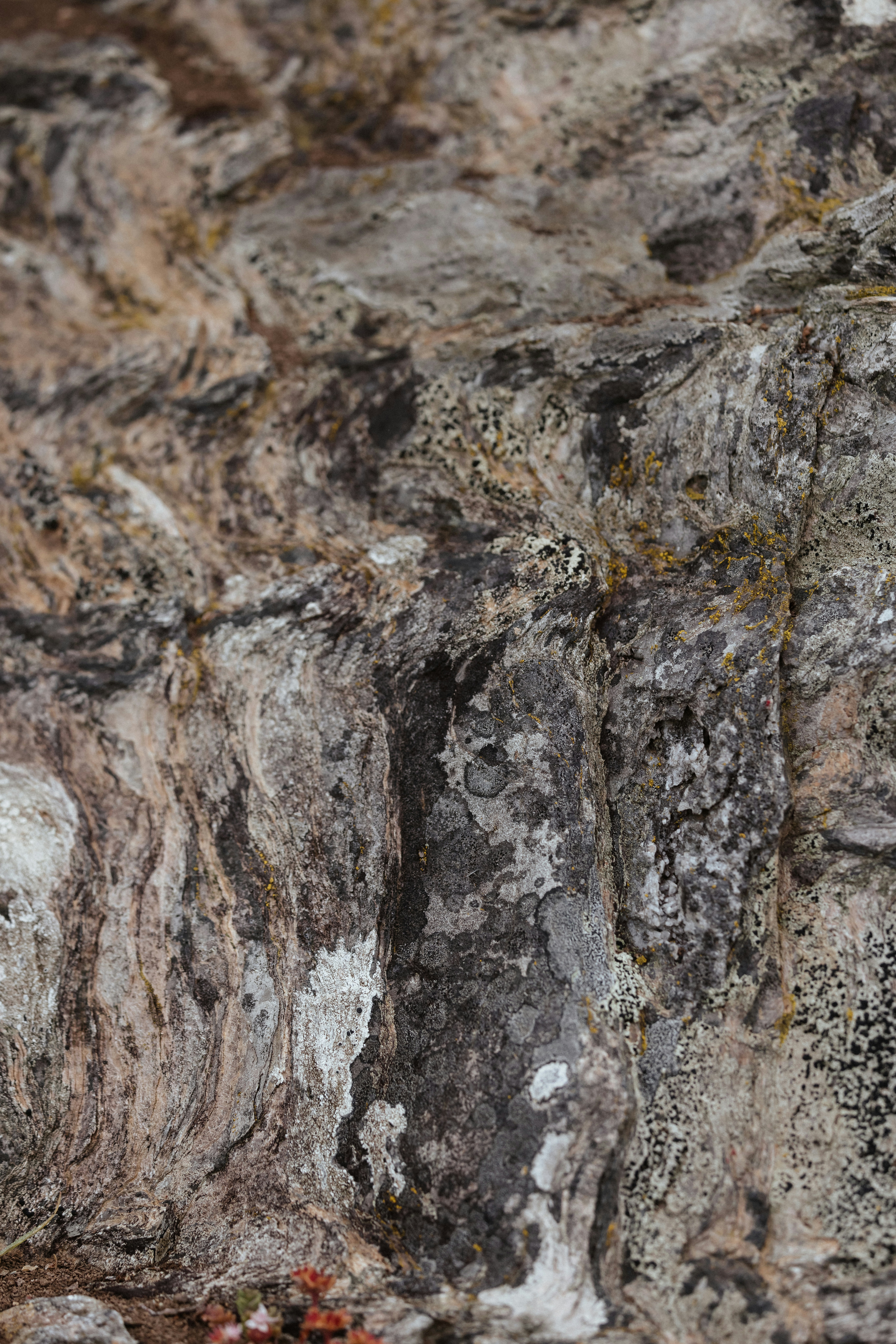 Photo by anniespratt