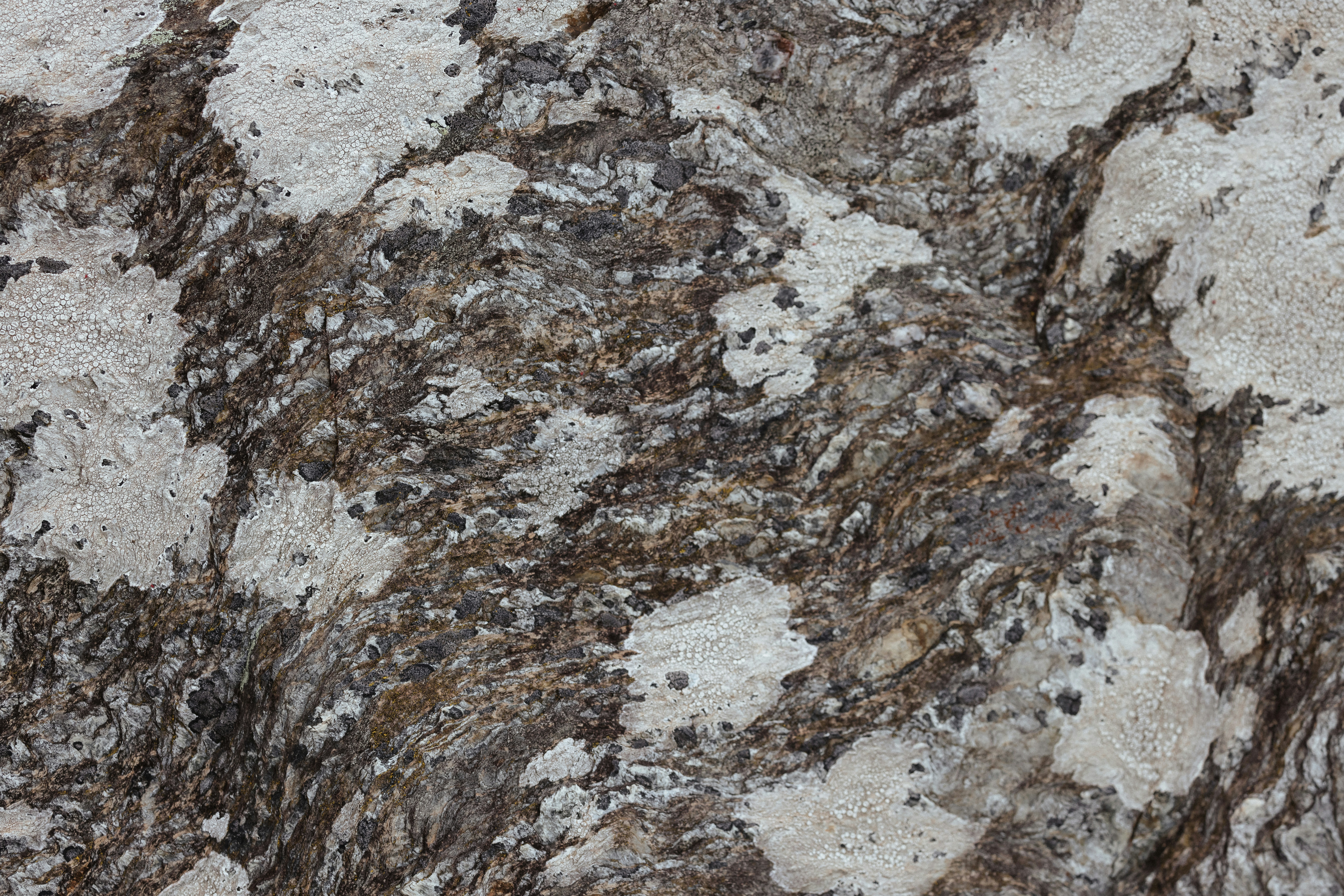 Photo by anniespratt