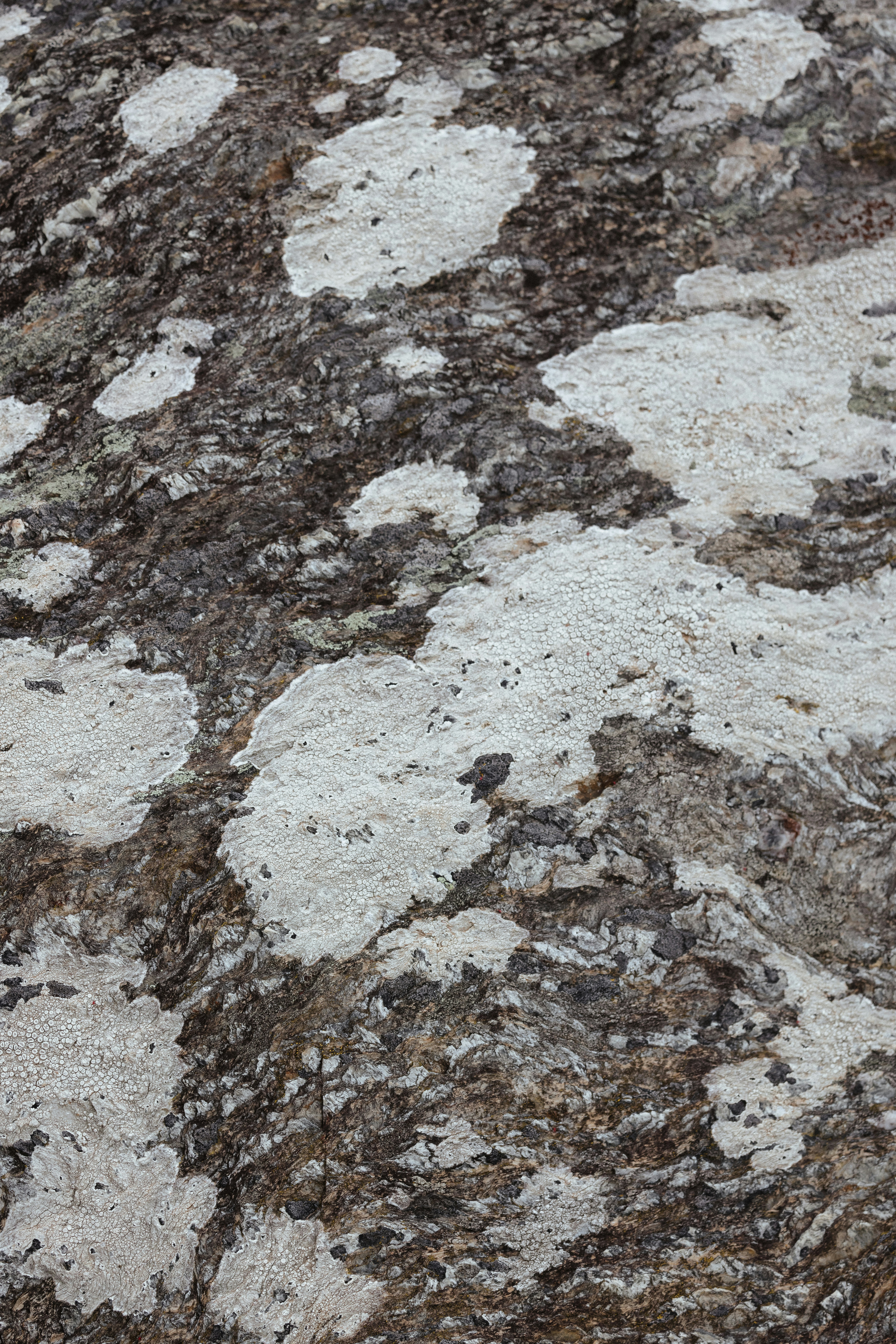 Photo by anniespratt