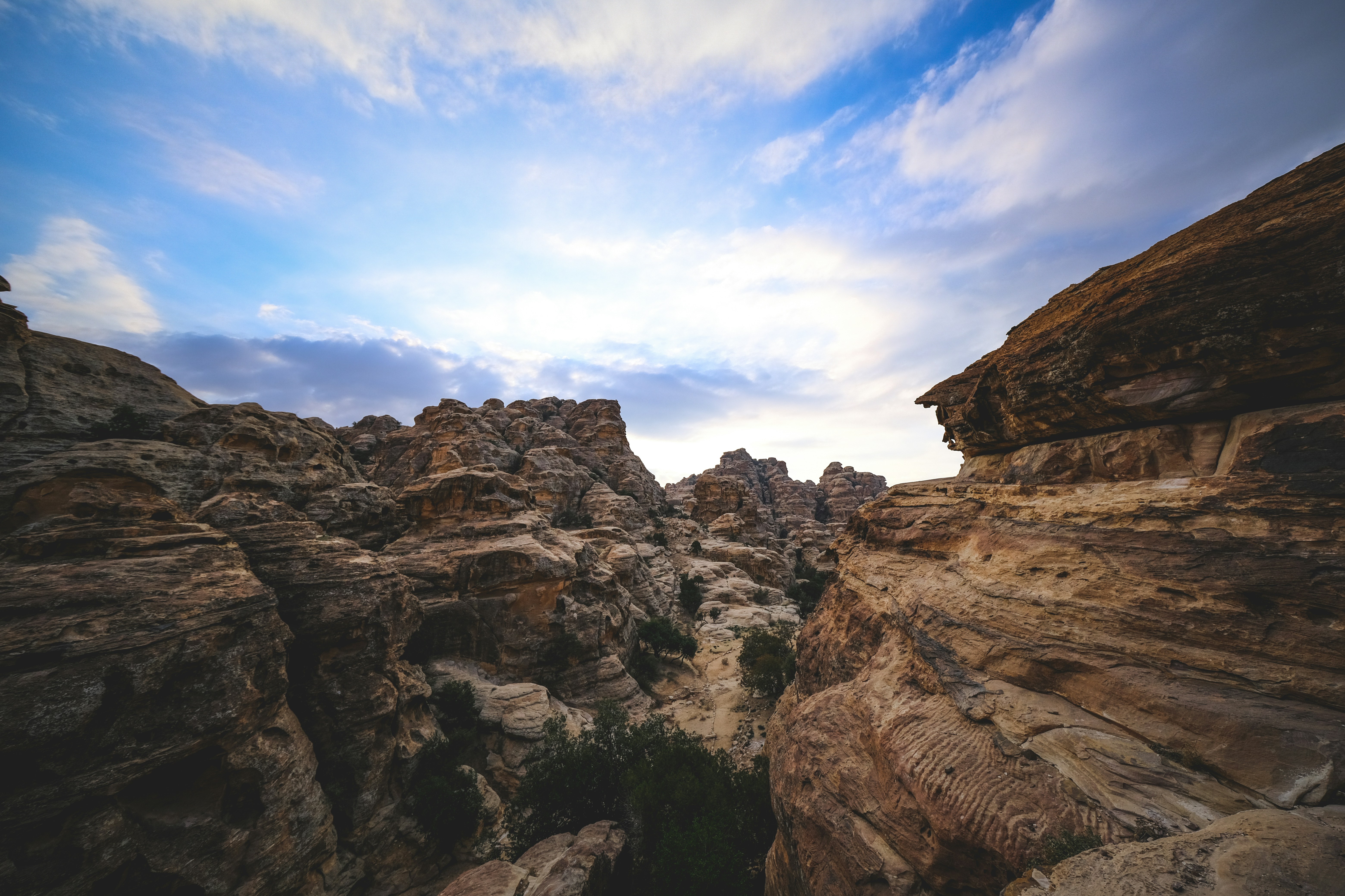 Photo by francesco_ungaro