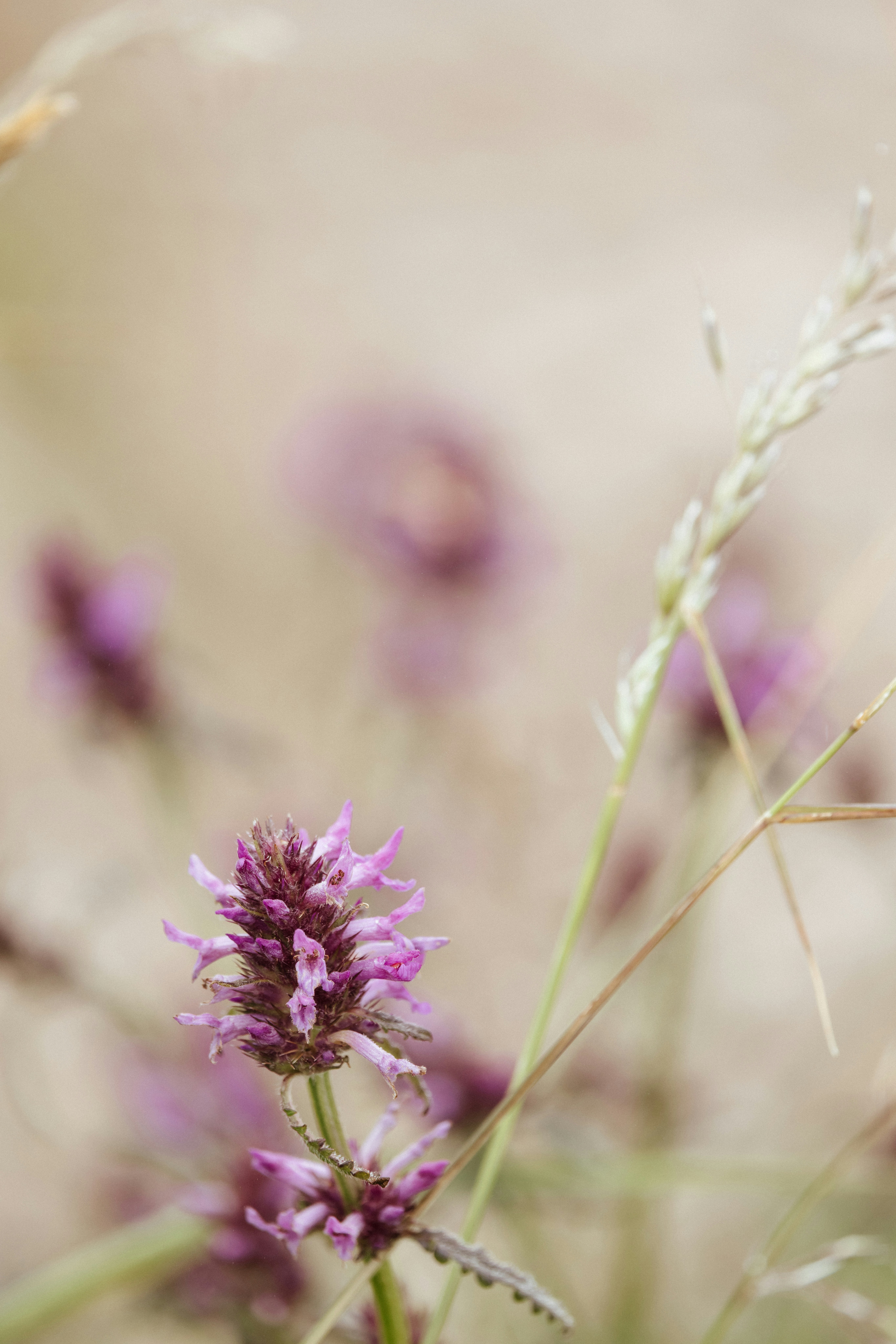 Photo by anniespratt