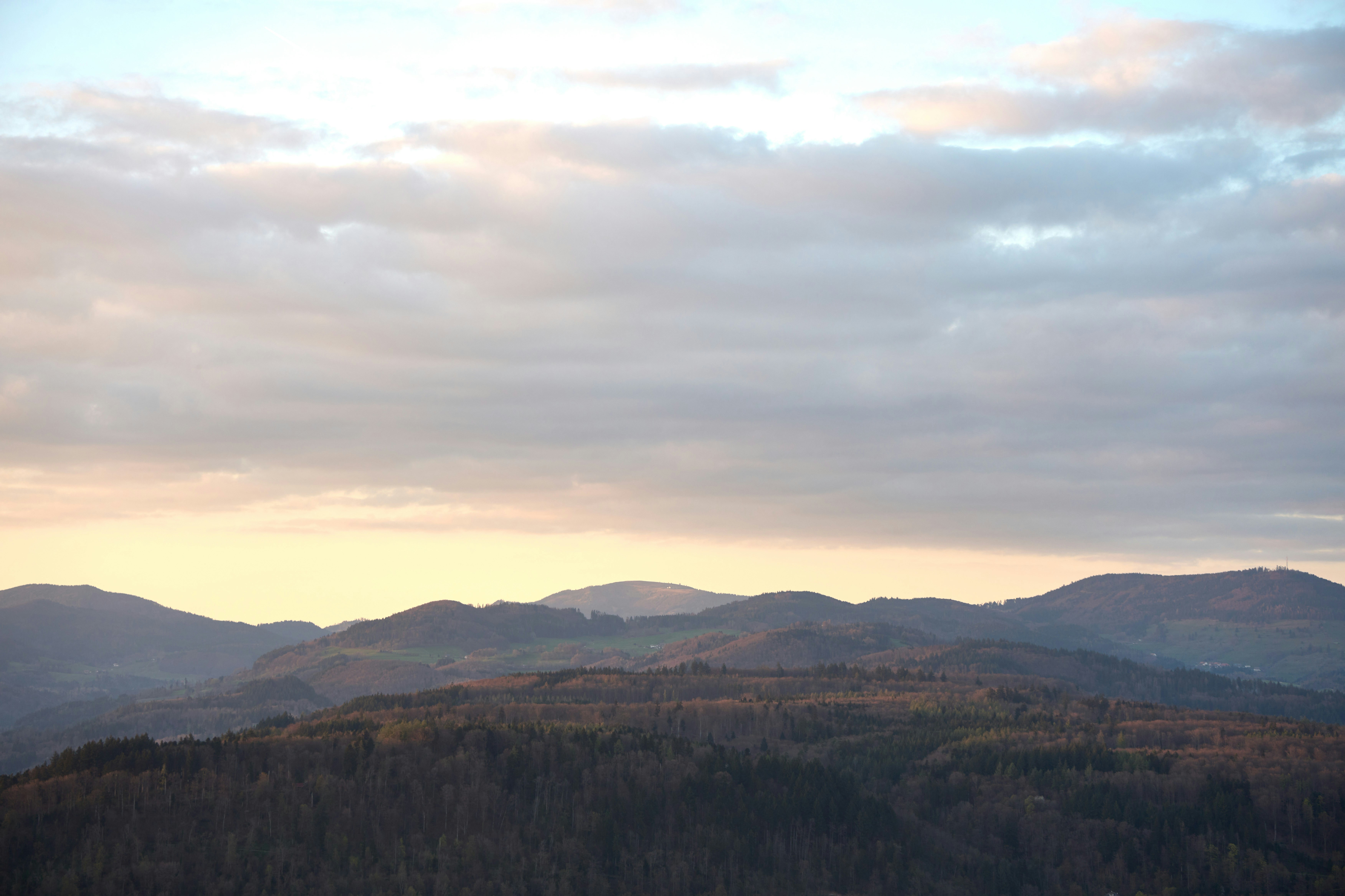 Photo by wolfgang_hasselmann