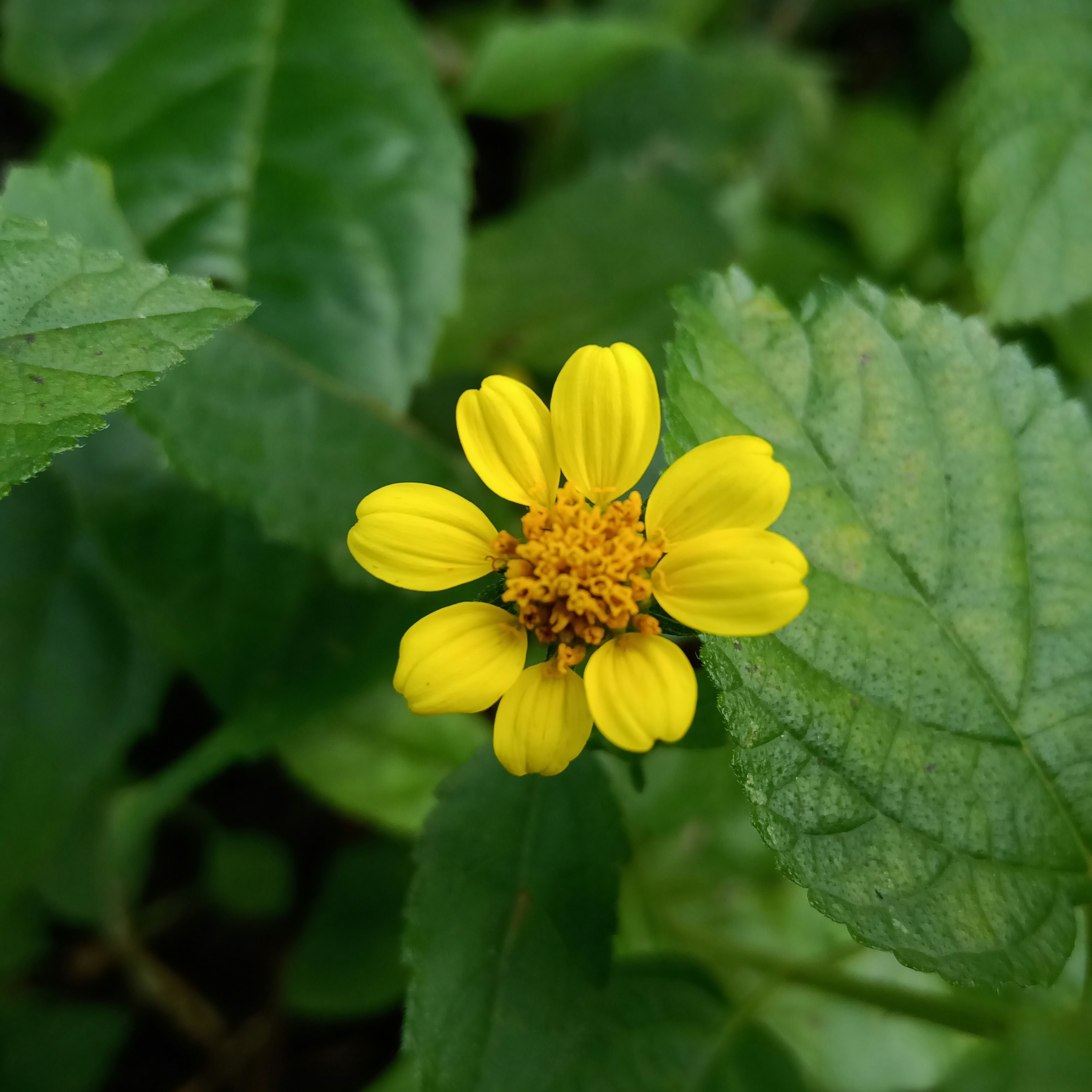 Photo by evaaa_wahyuni