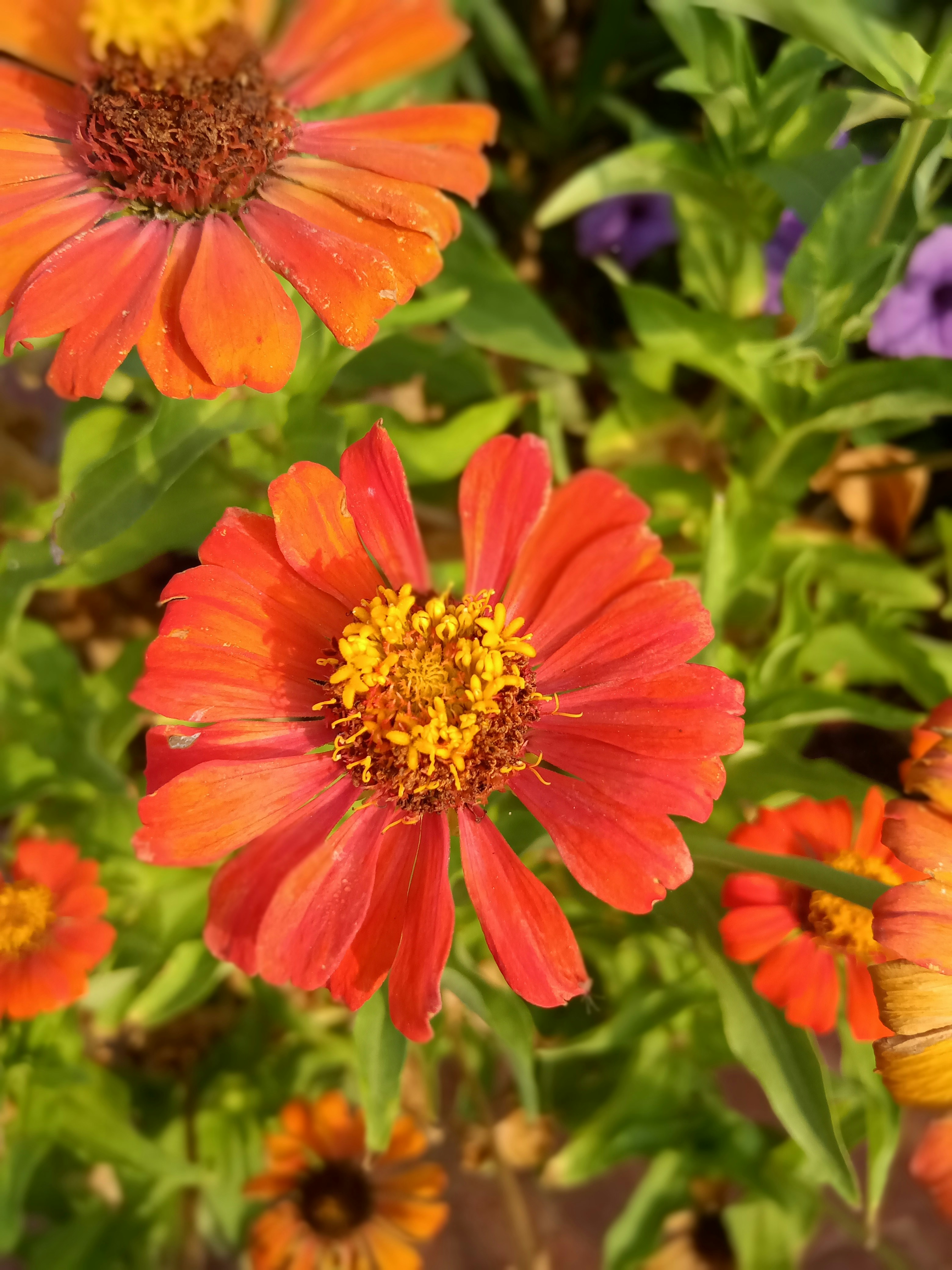 Photo by evaaa_wahyuni