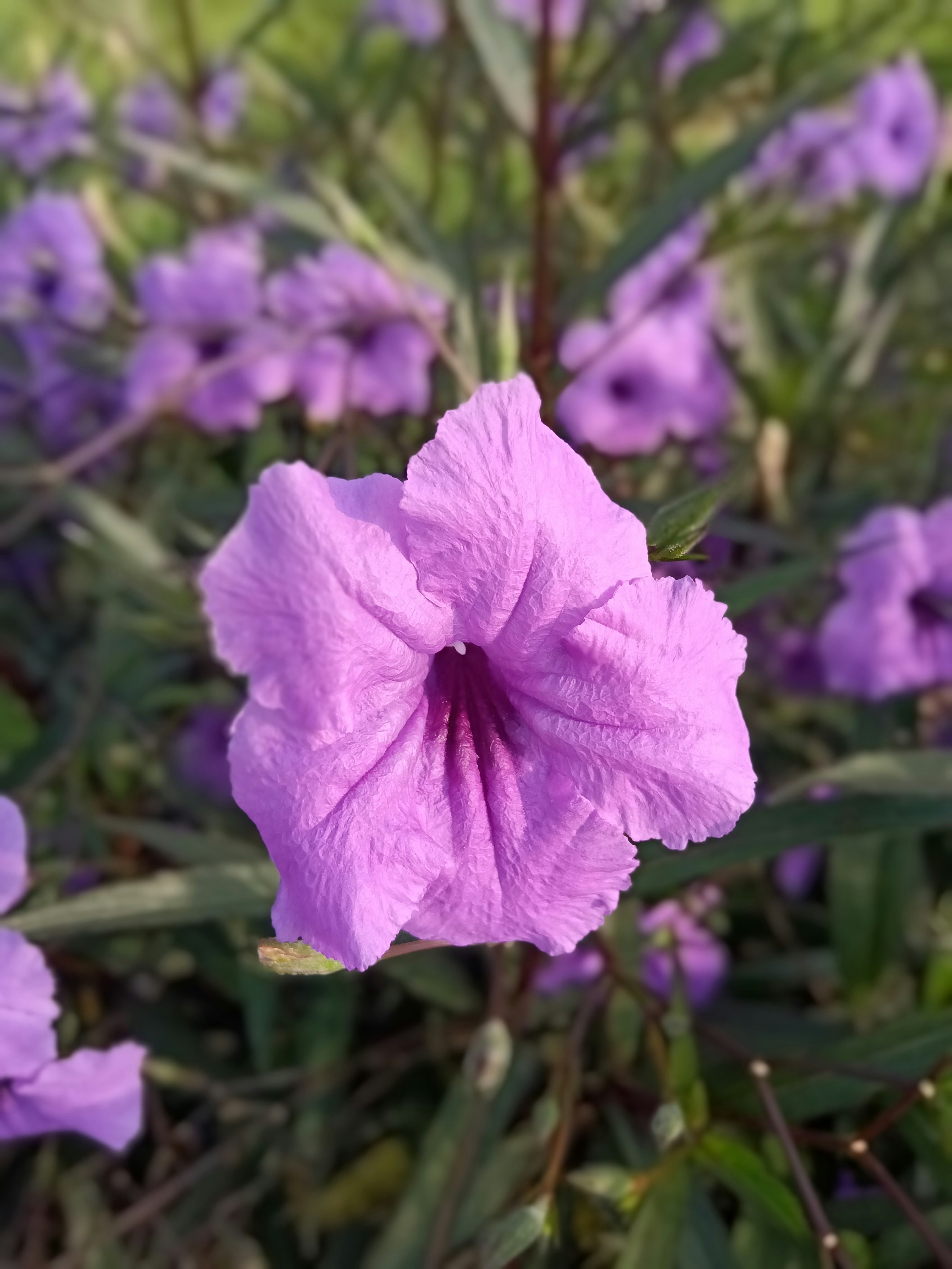 Photo by evaaa_wahyuni