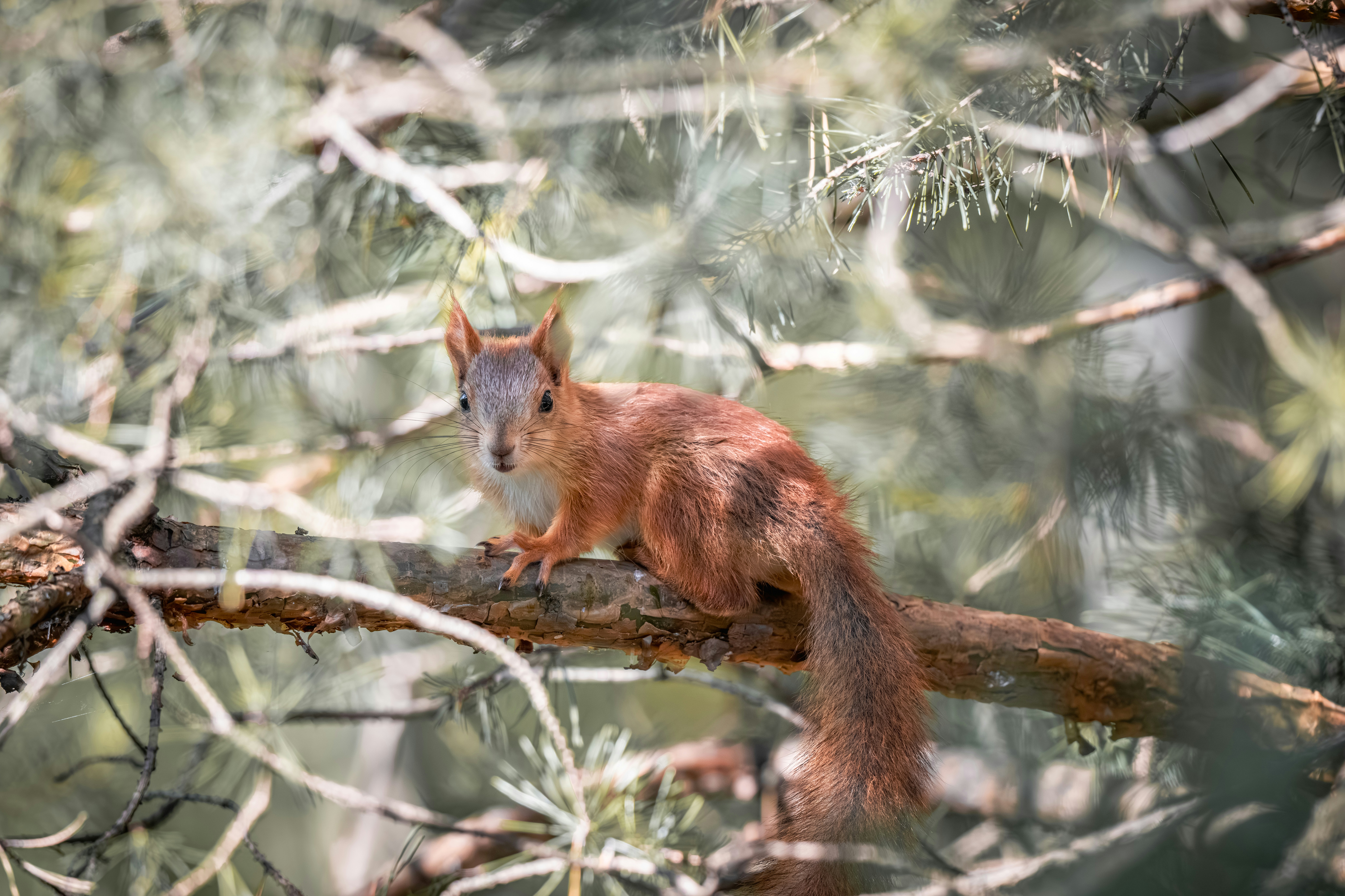 Photo by andreystrizhkov