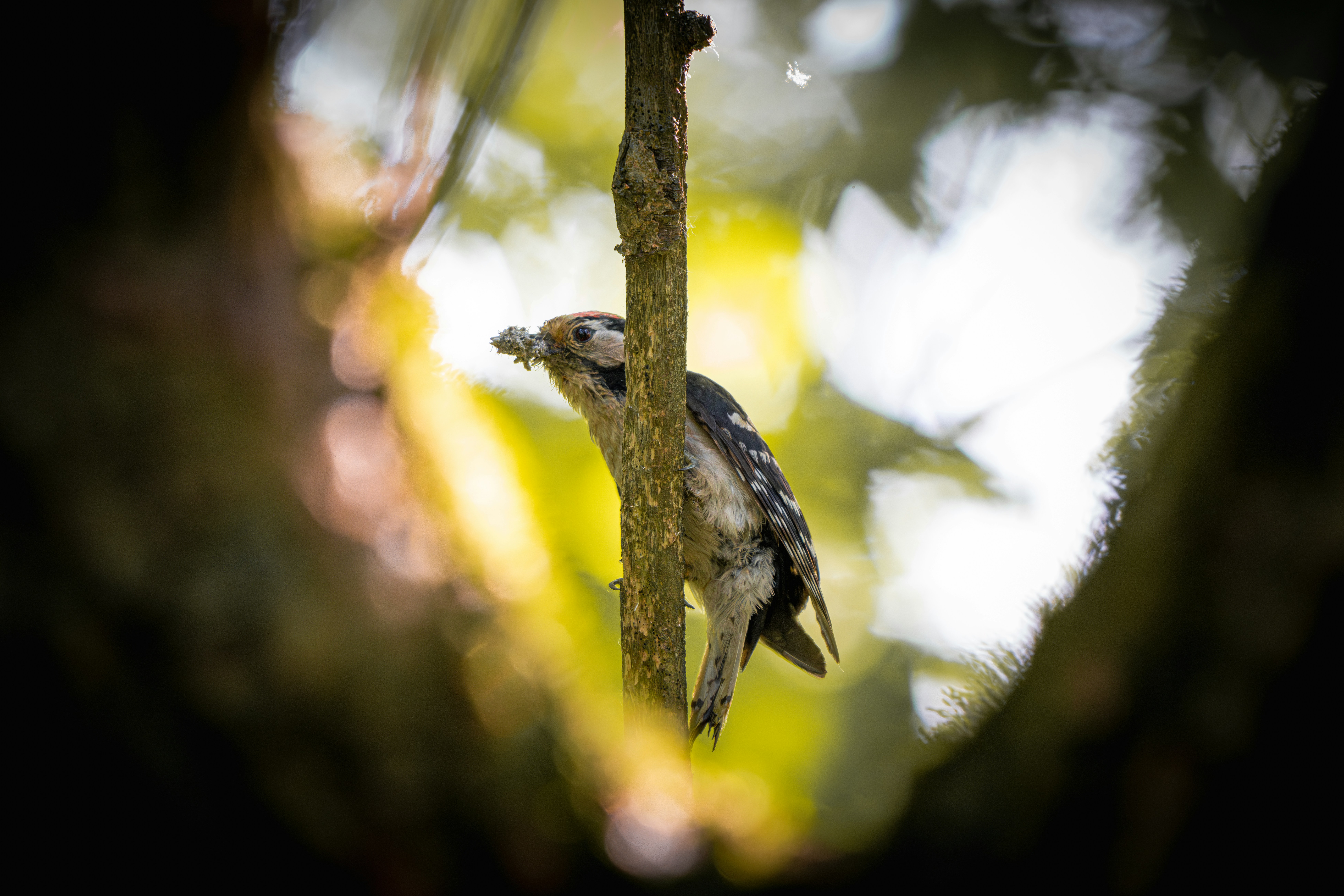 Photo by andreystrizhkov