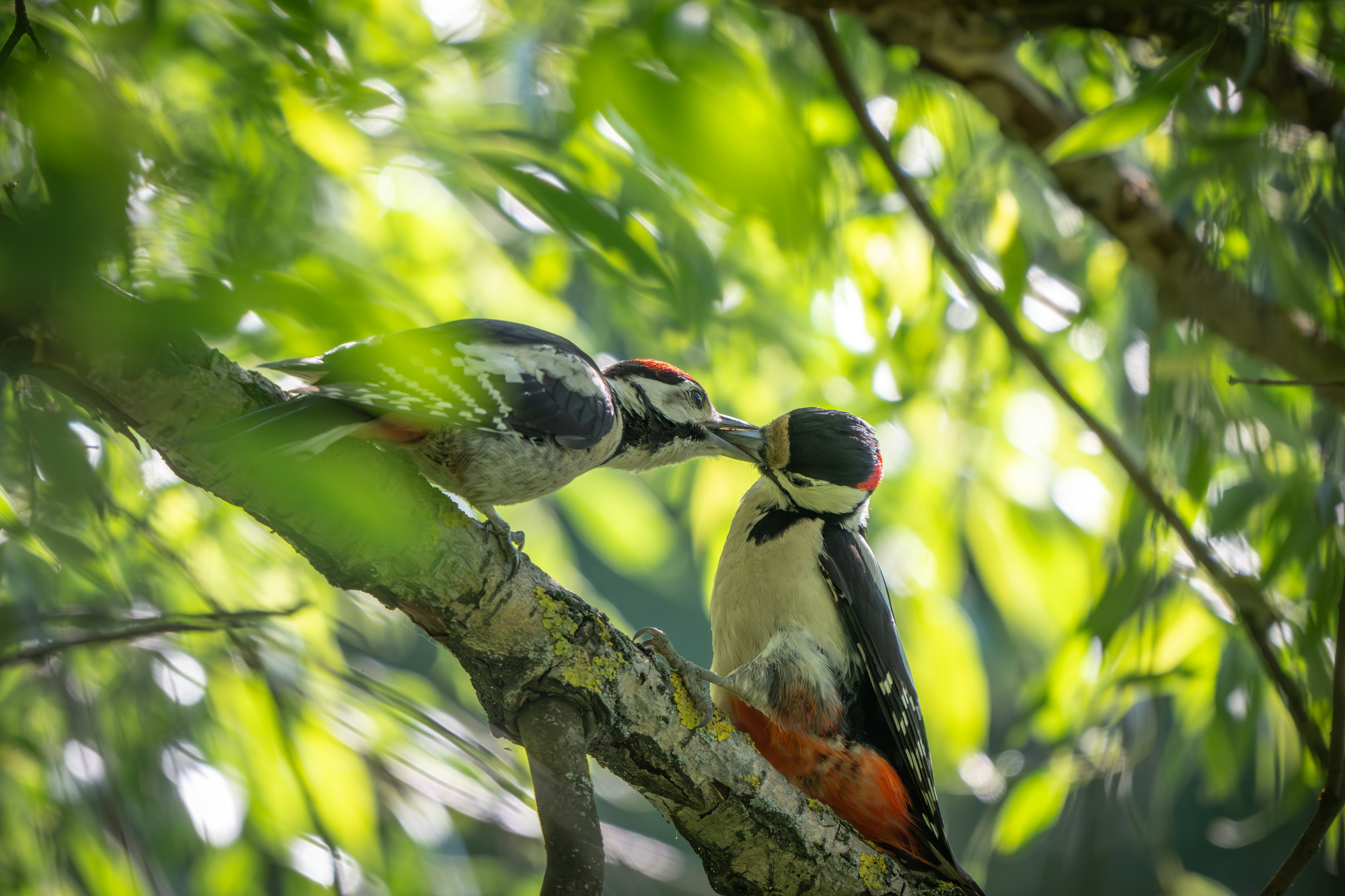 Photo by andreystrizhkov