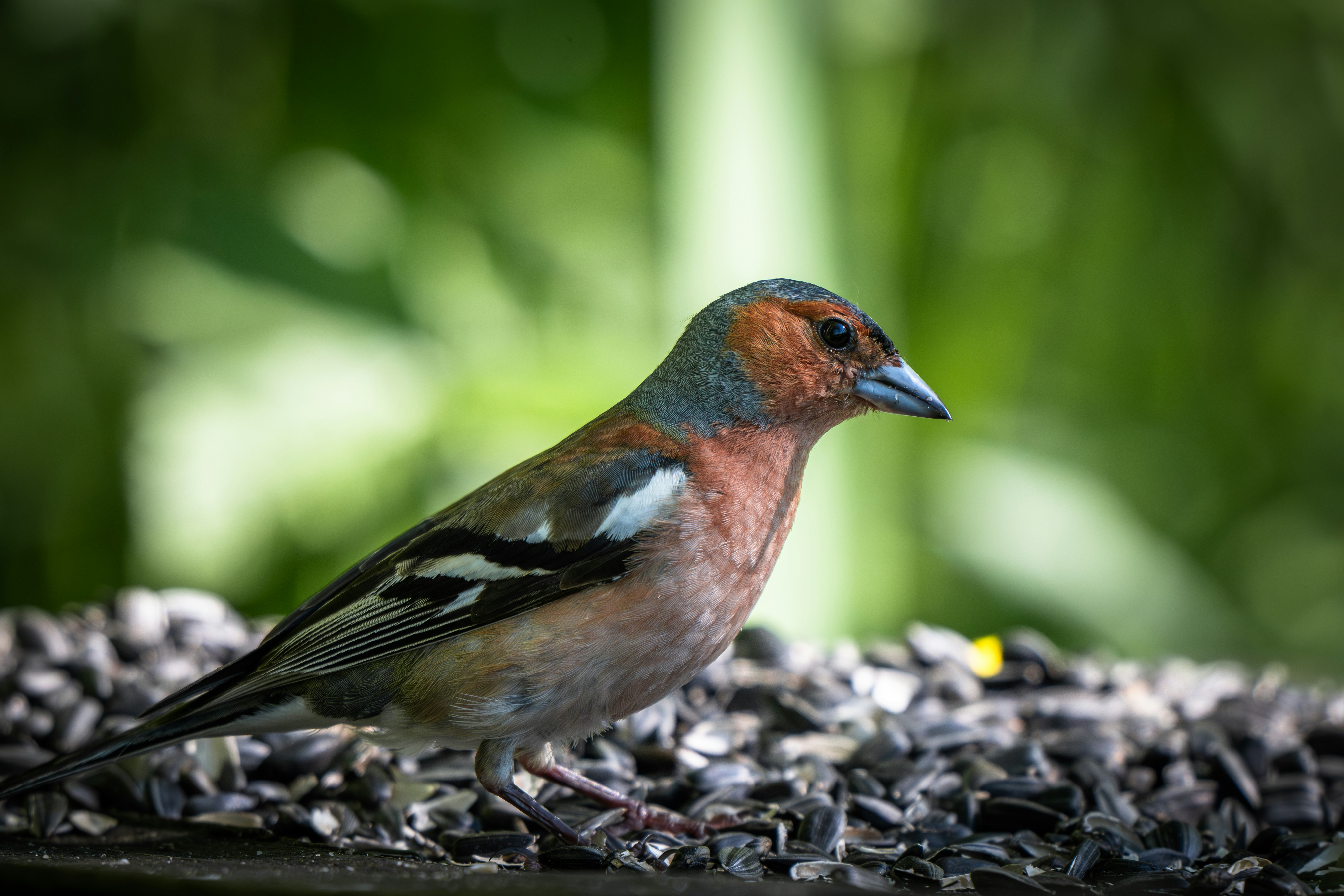 Photo by andreystrizhkov