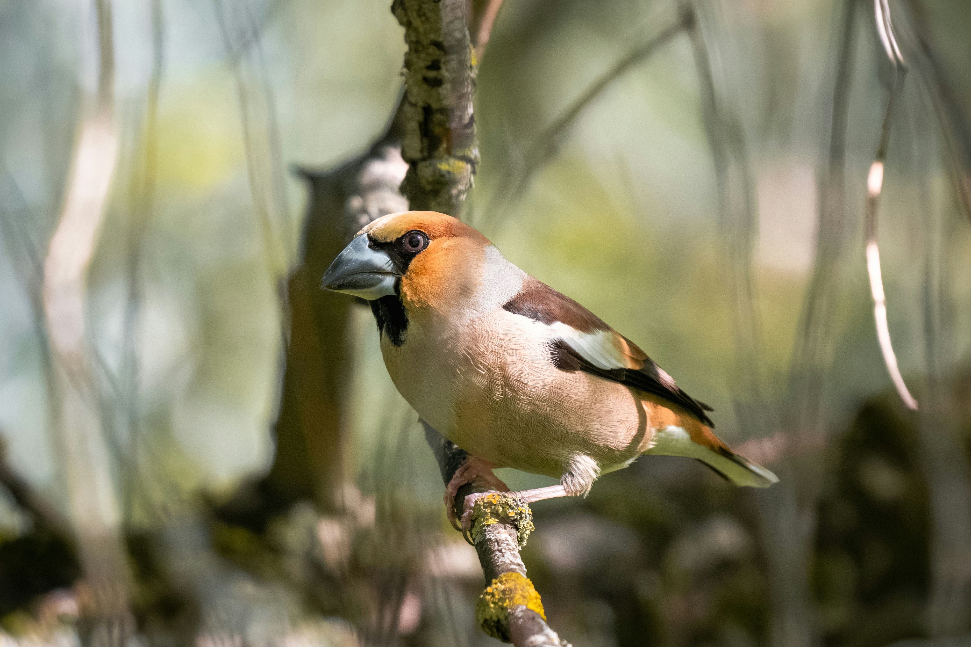 Photo by andreystrizhkov