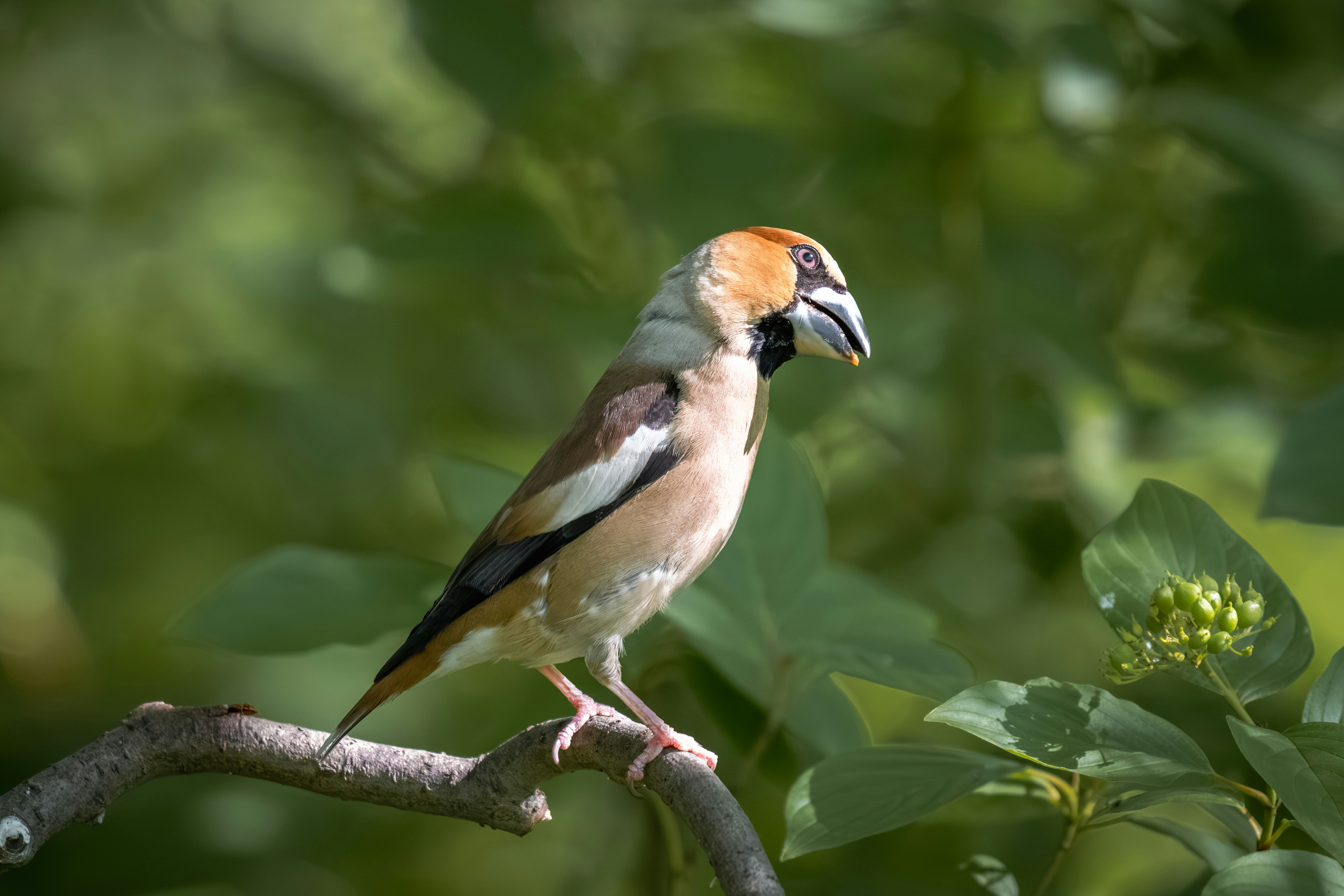 Photo by andreystrizhkov