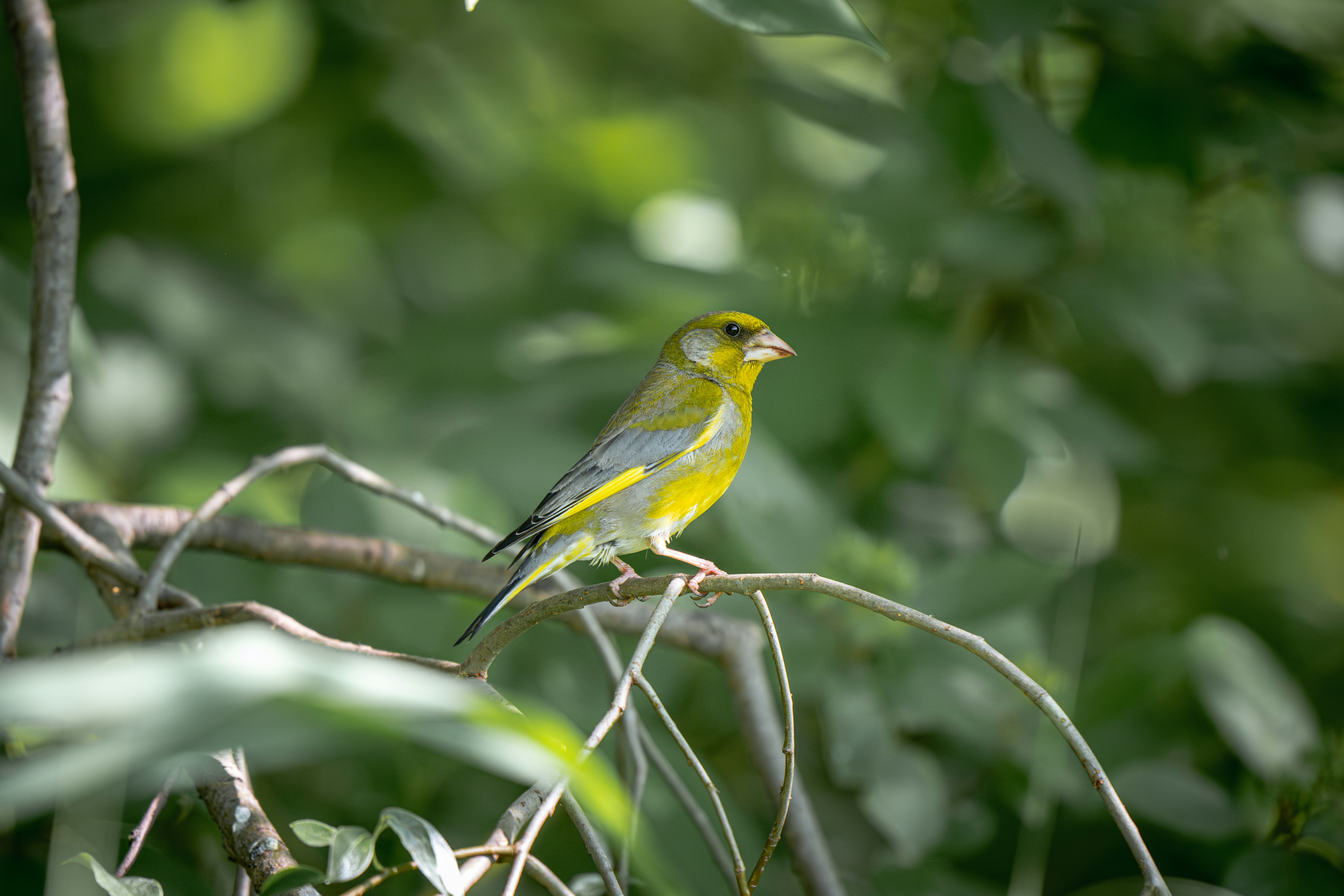 Photo by andreystrizhkov