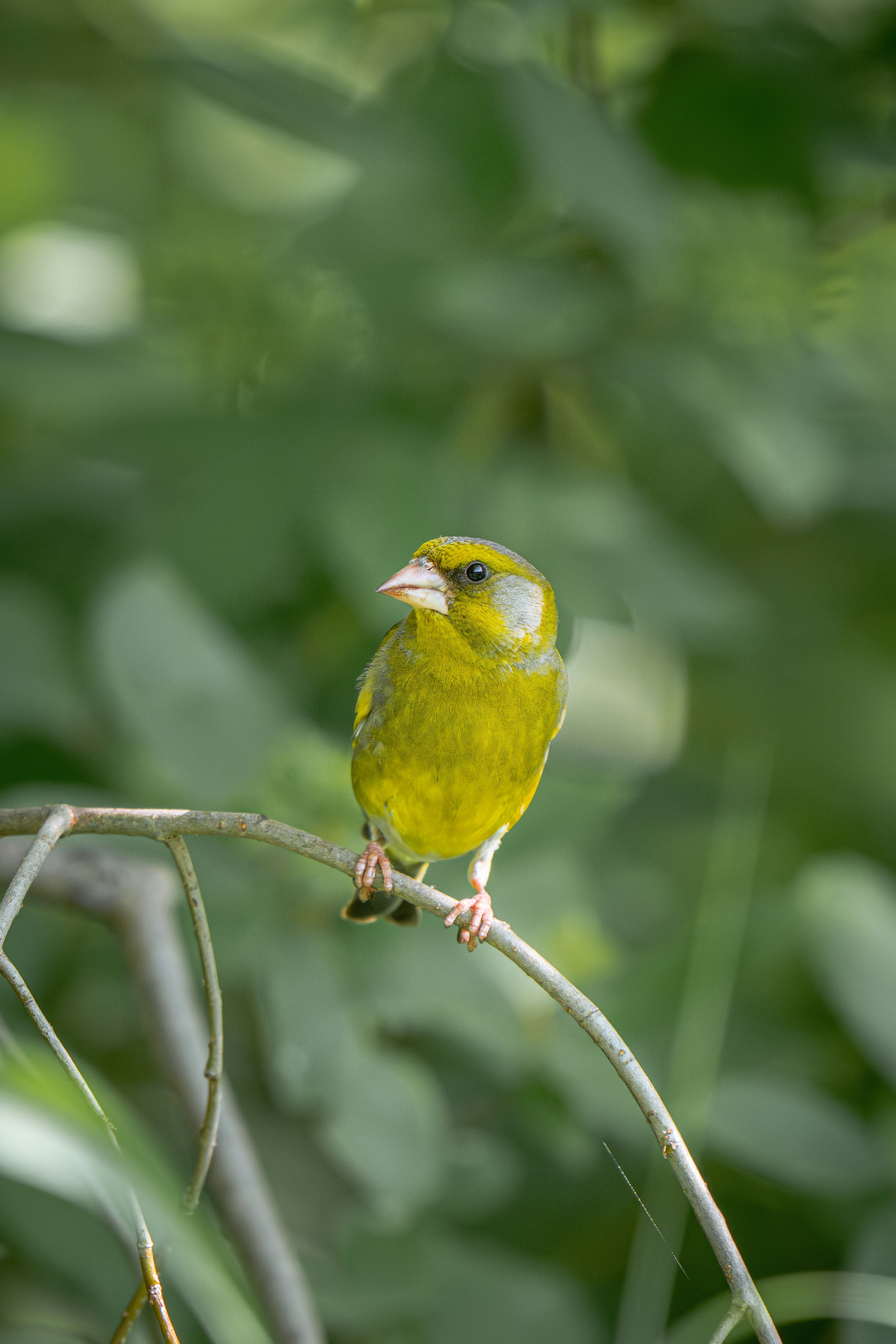 Photo by andreystrizhkov