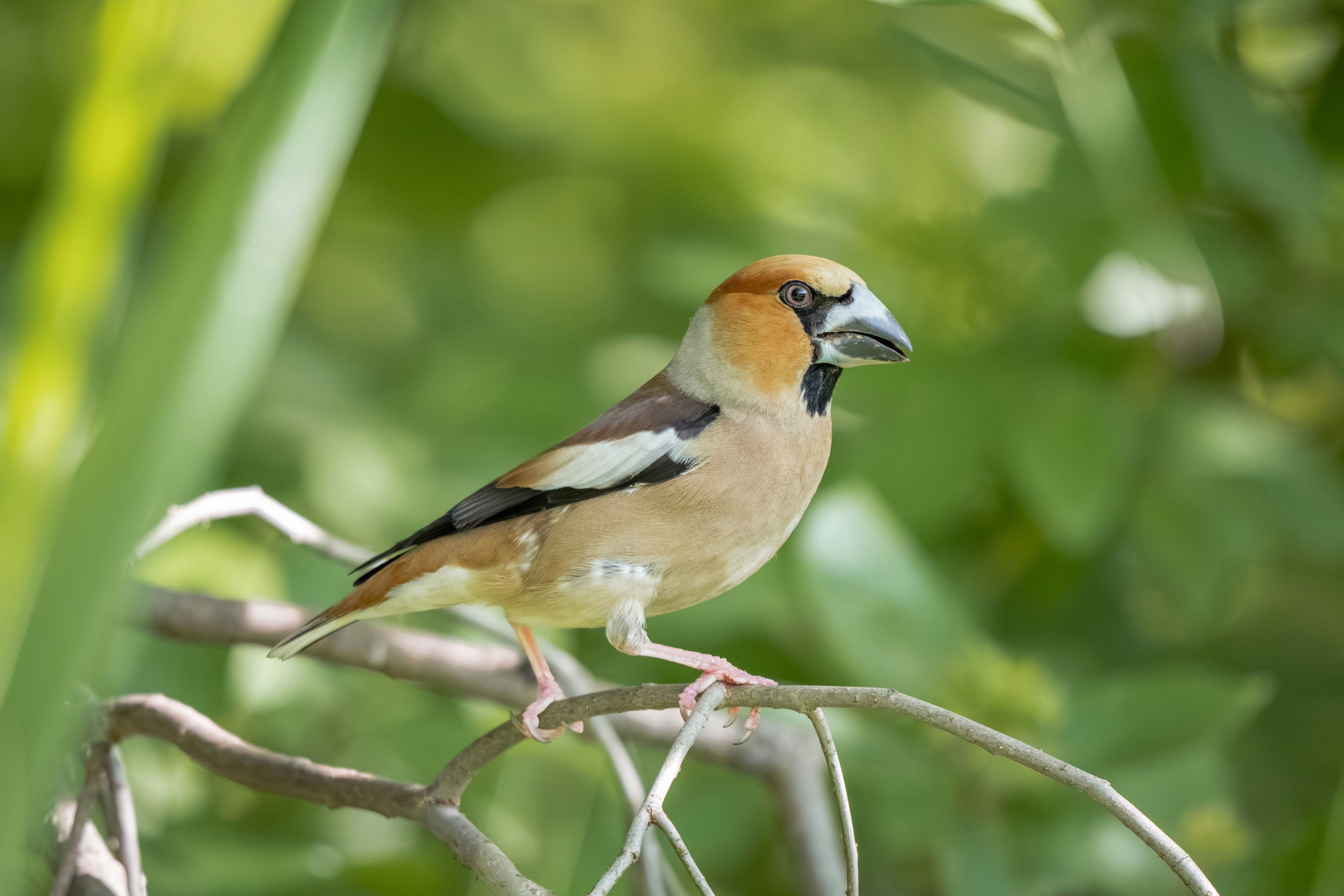 Photo by andreystrizhkov