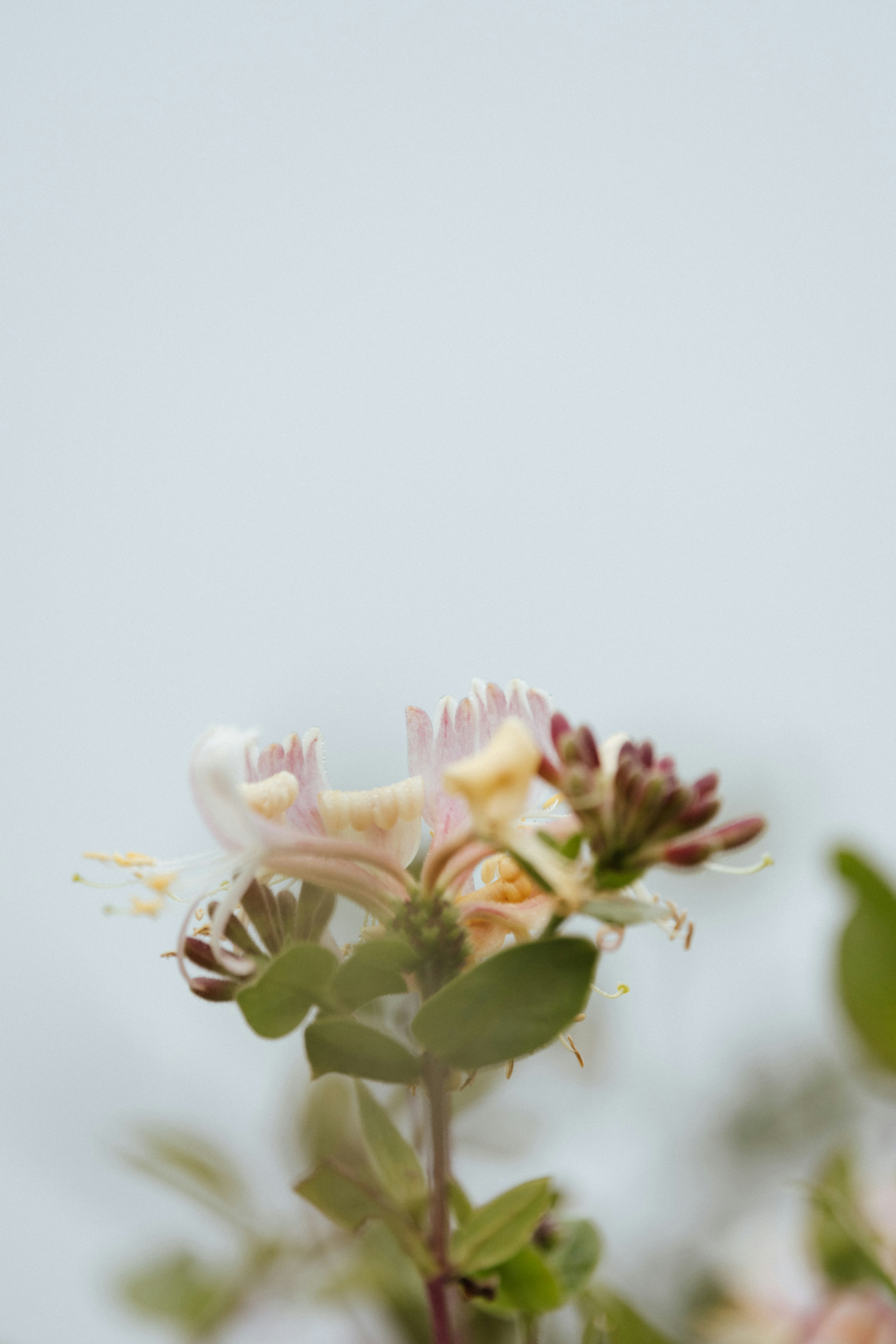 Photo by anniespratt