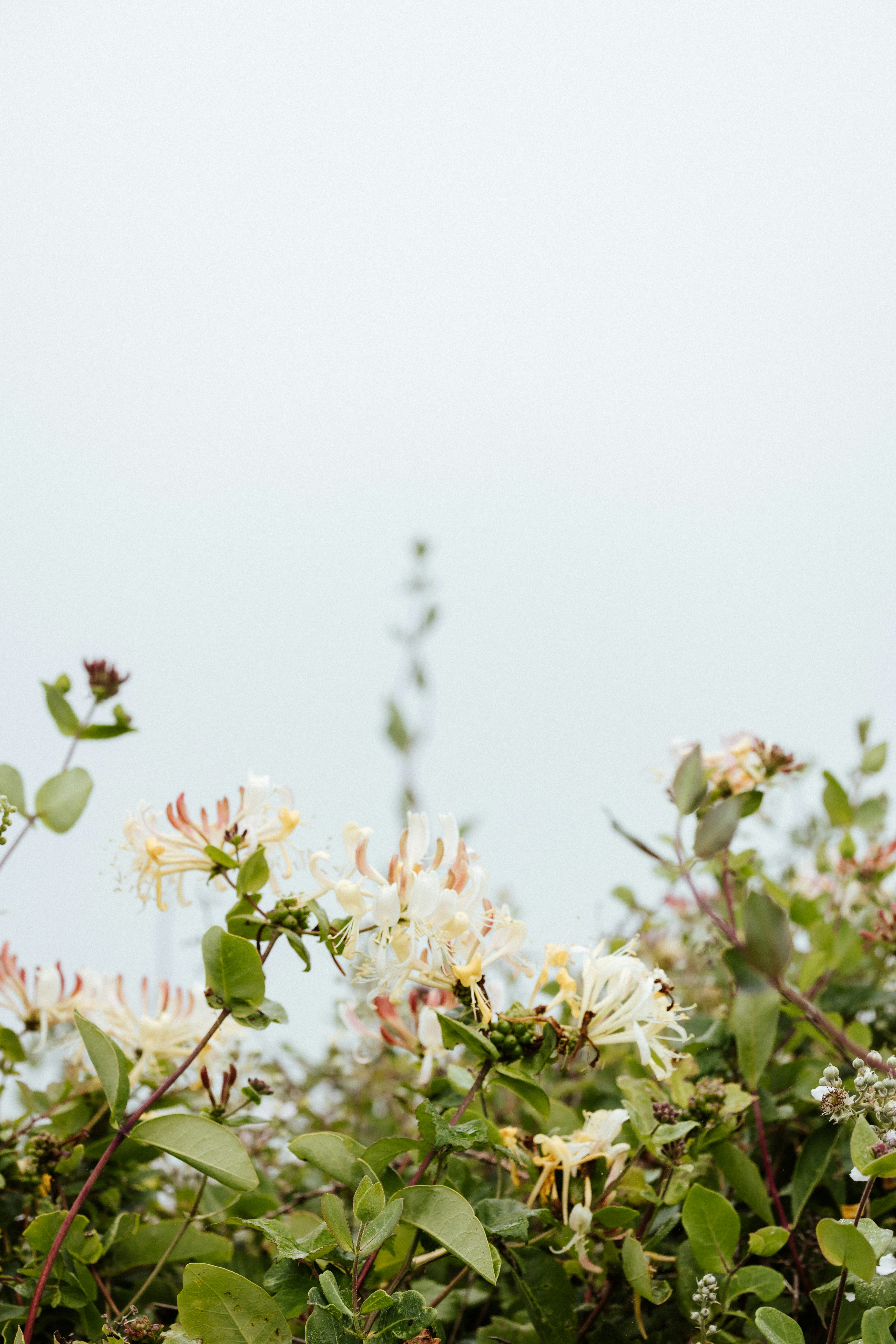 Photo by anniespratt