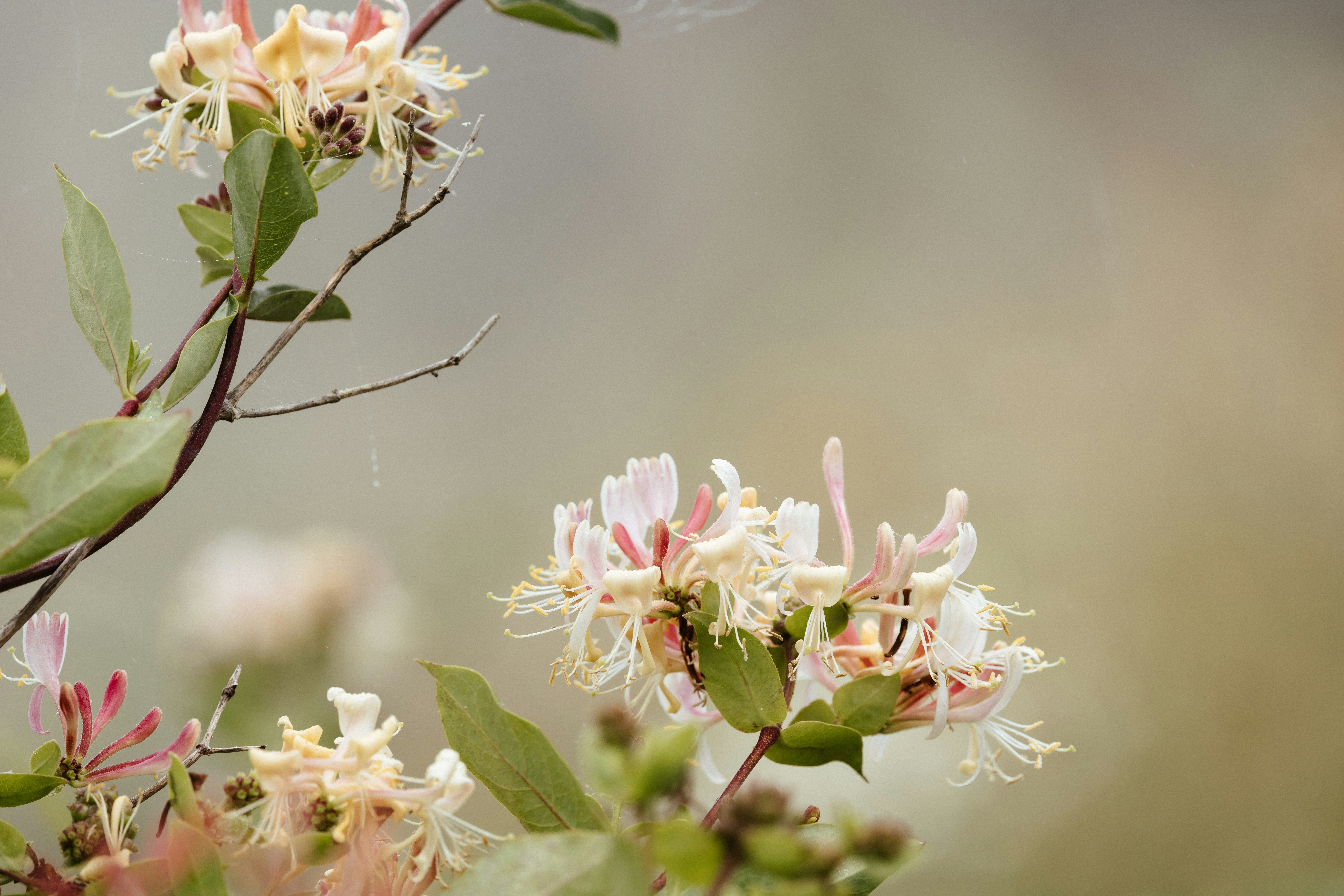 Photo by anniespratt