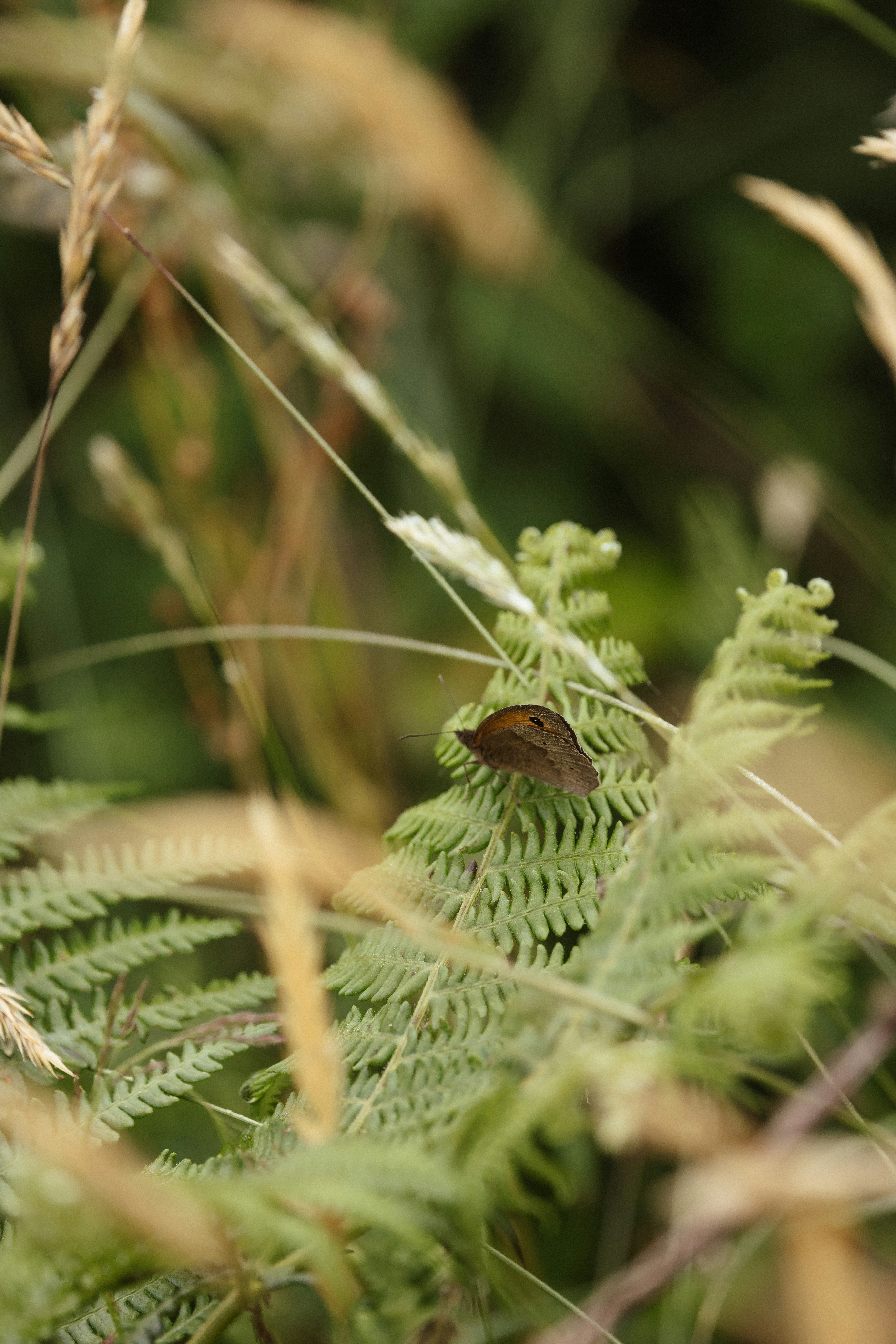 Photo by anniespratt